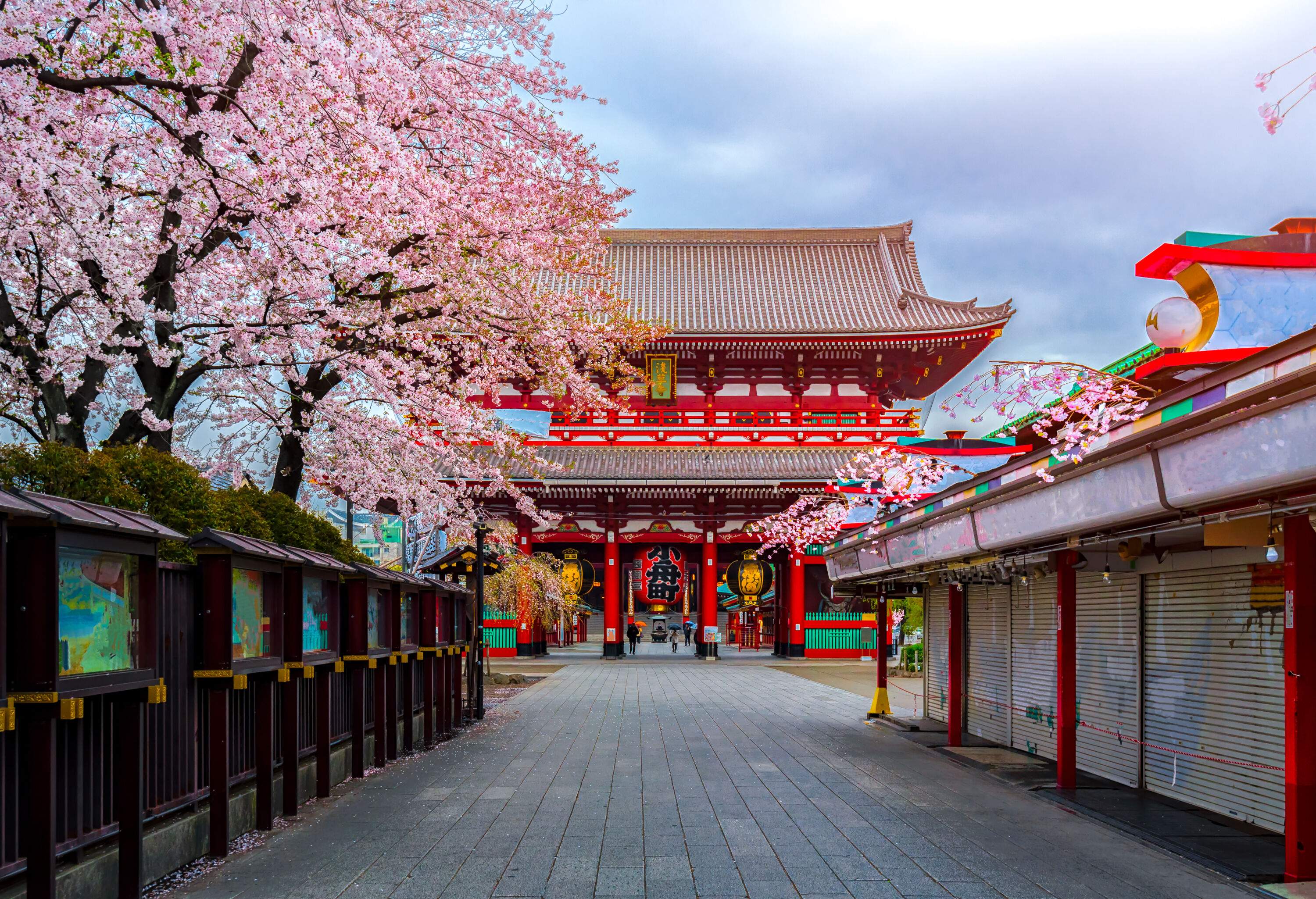 An empty path across closed stalls and cherry blossom trees towards a temple with pillared entrances and tiered roofs.