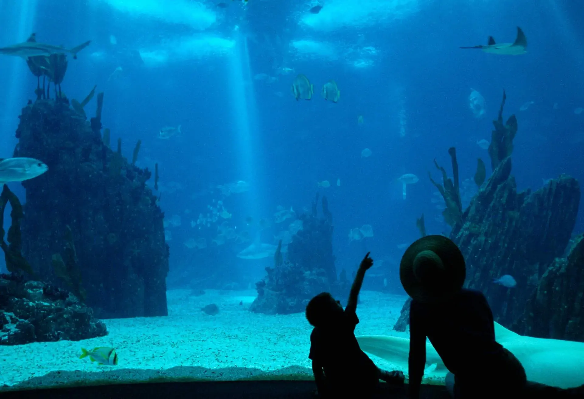 Tourists at Oceanario de Lisboa in Portugal.