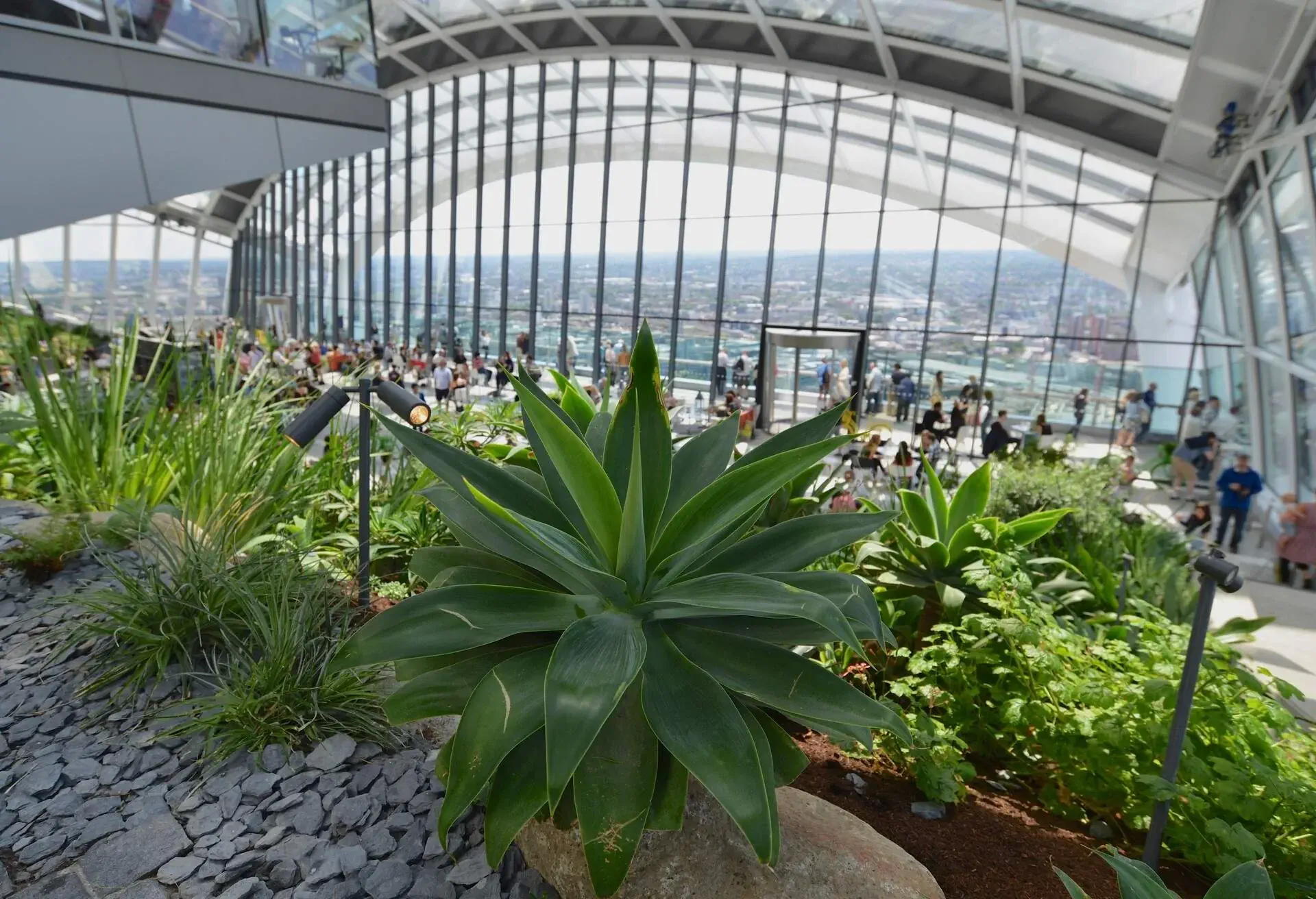 Numerous people are in a sky garden overlooking a cityscape through the glass windows.