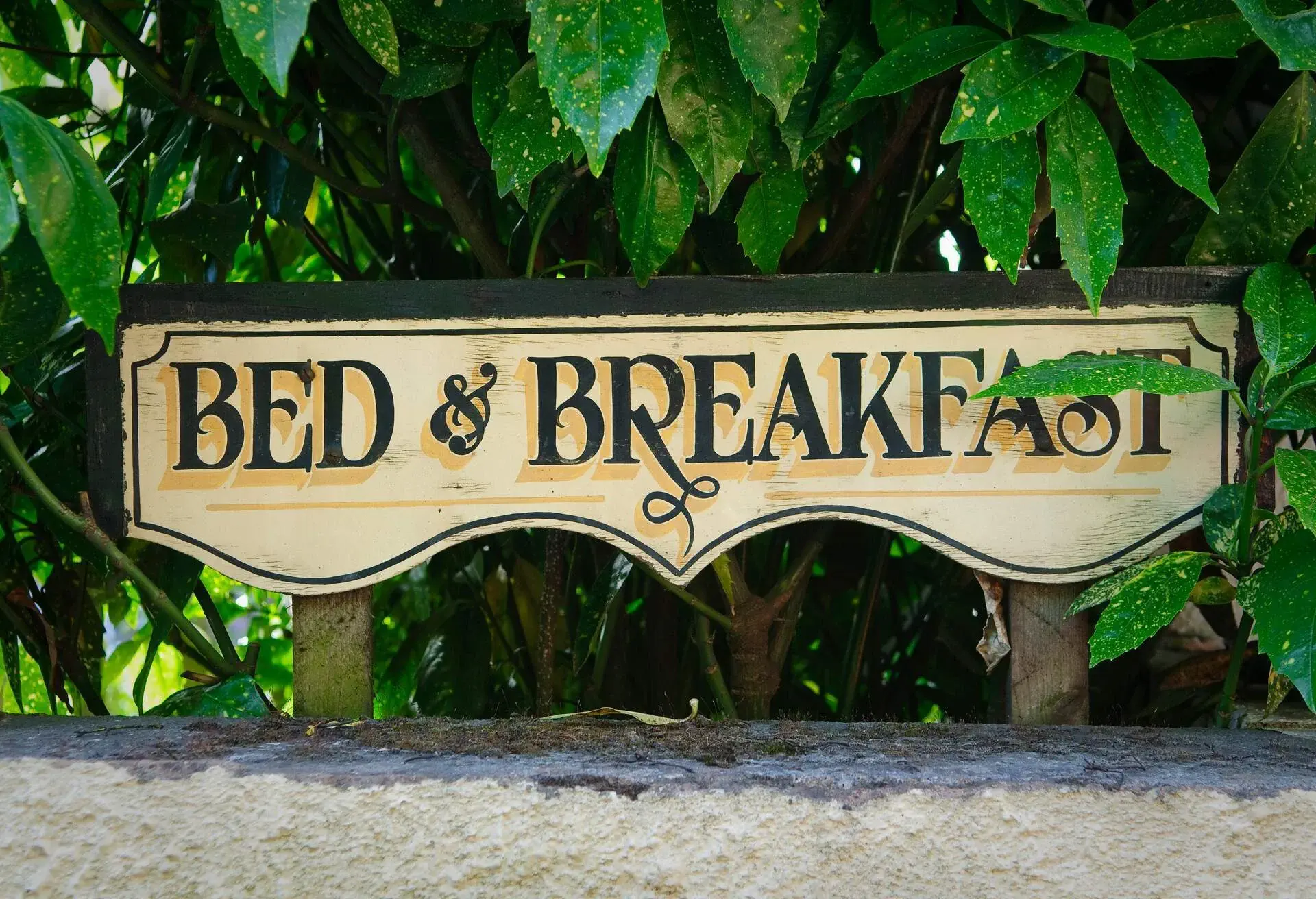 A signage that reads "Bed and Breakfast" with a green leafy background.