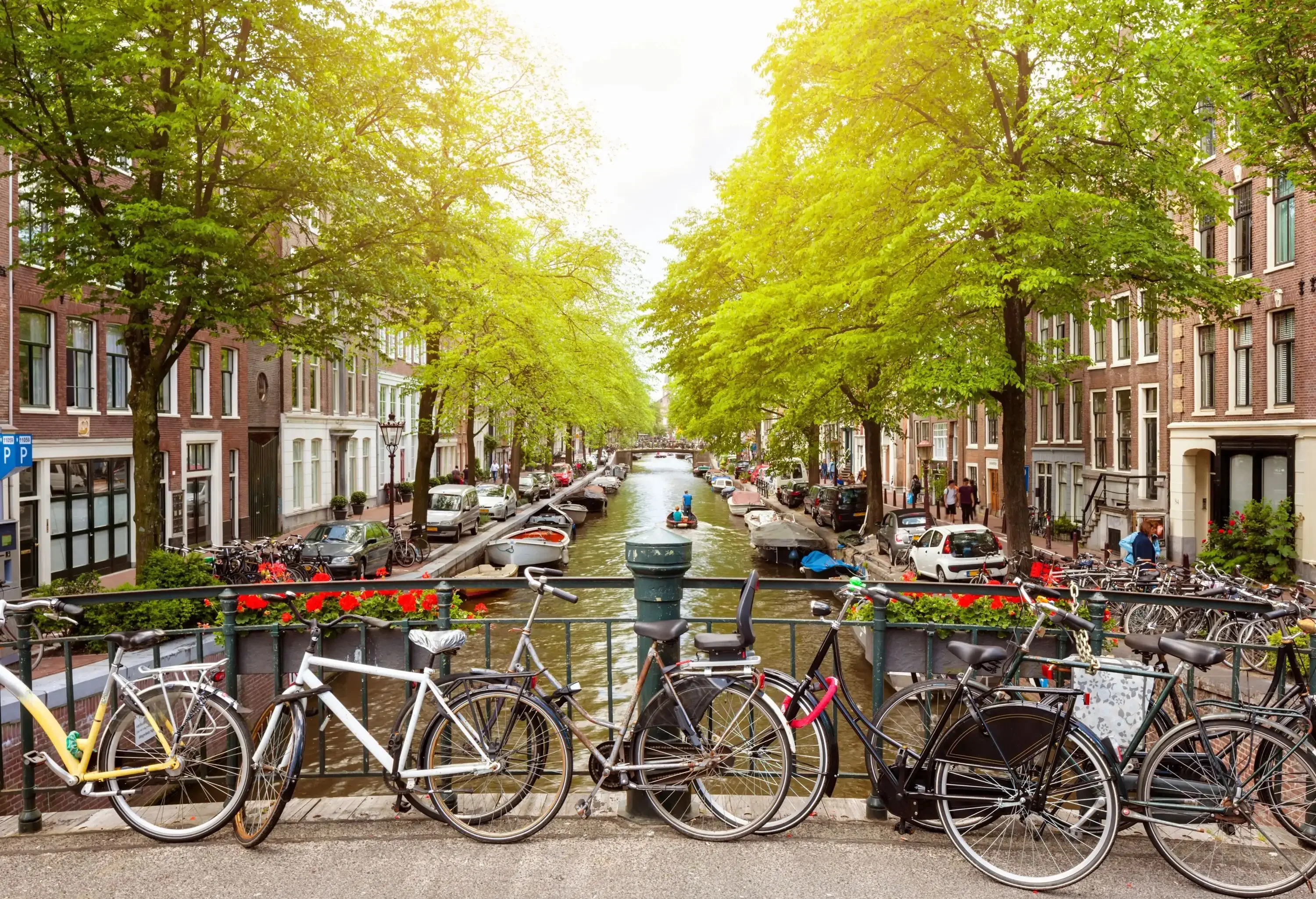 A row of bikes chained to the railing of a bridge over a canal lined with trees and buildings.