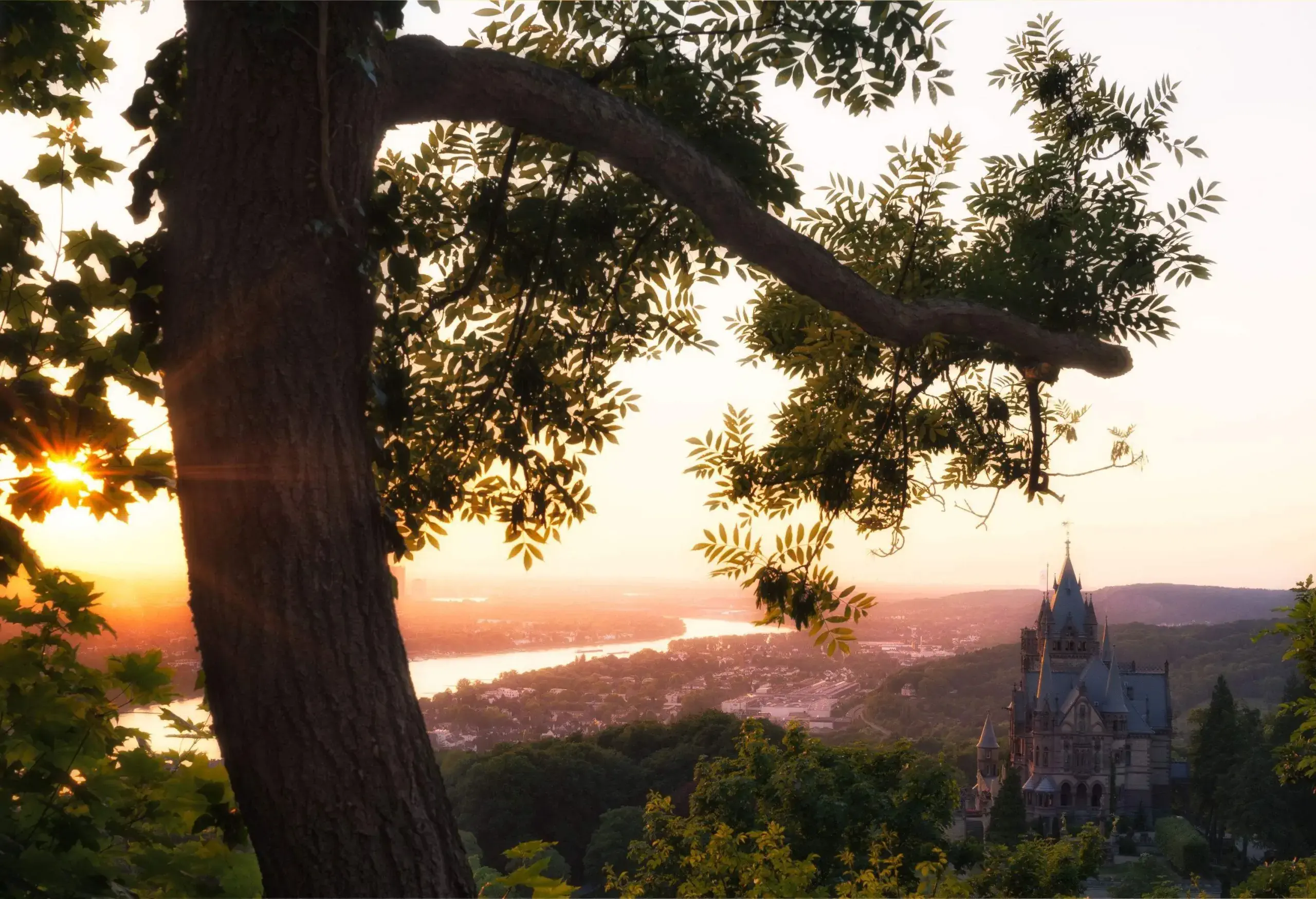 Bonn Germany with focus on Cherry Blossoms and Siebengebirge castle
