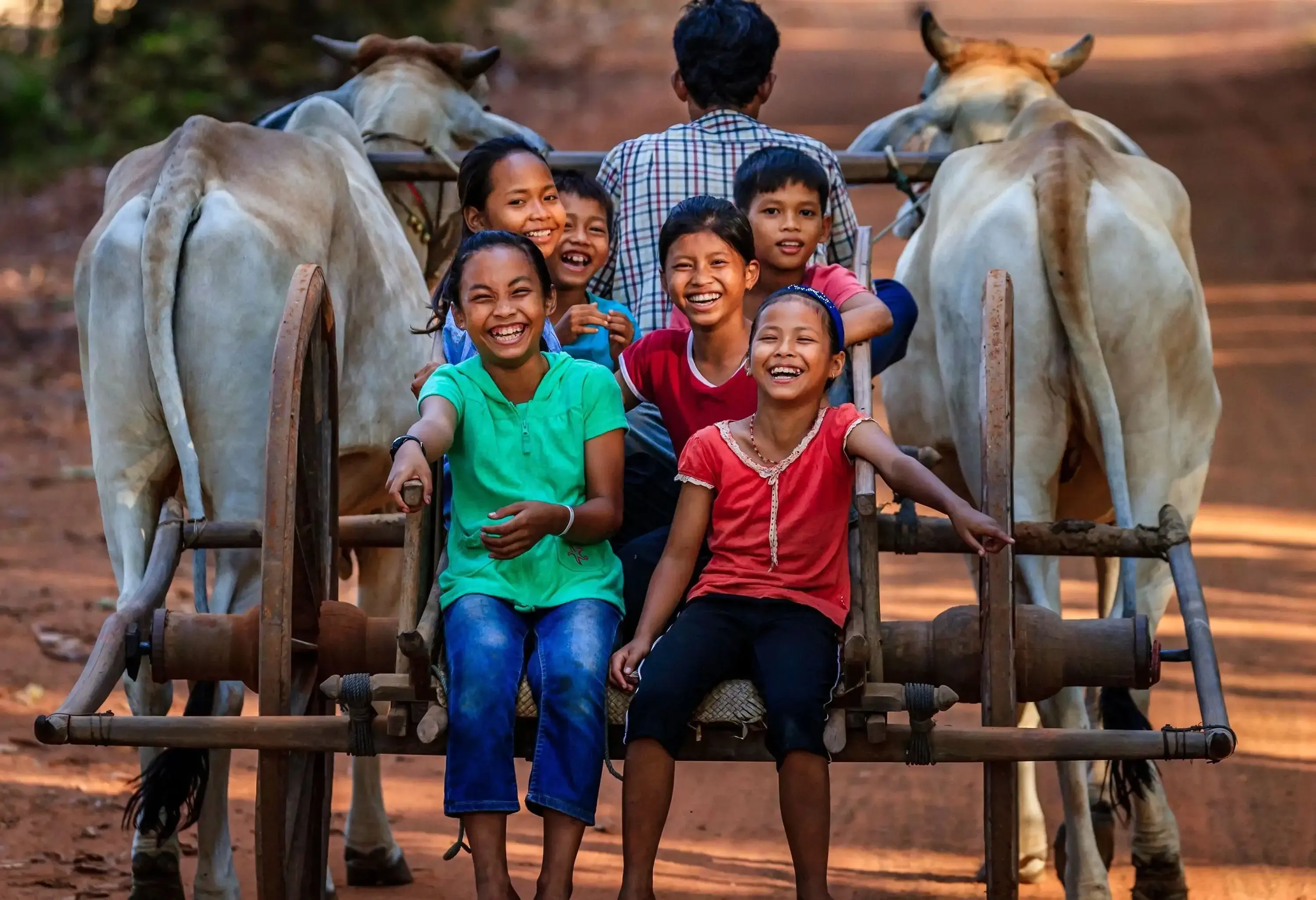 A group of children wearing smiles on their faces while riding on a two-wheeled ox cart on an unpaved road.