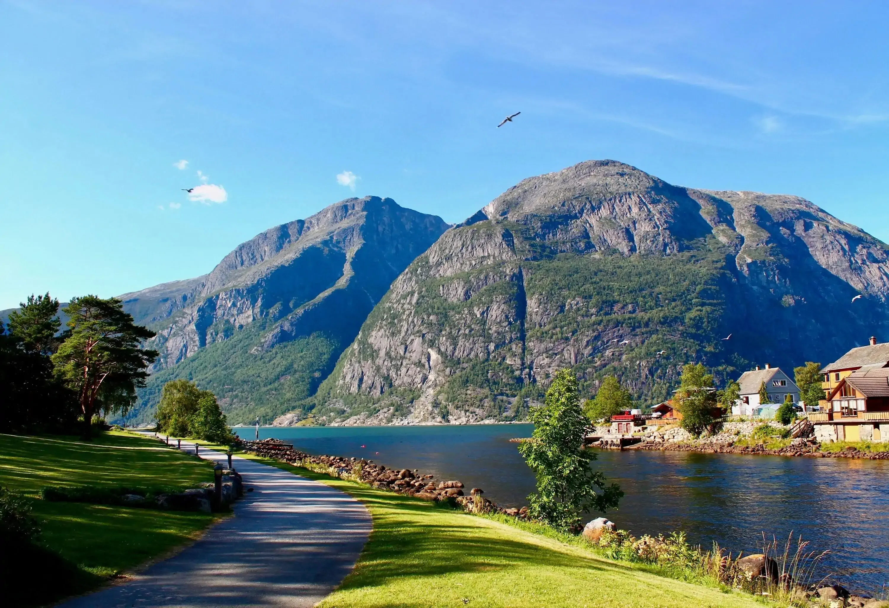 A narrow pathway across green grass beside a fjord, with views of large rock mountains and residences on the shore.