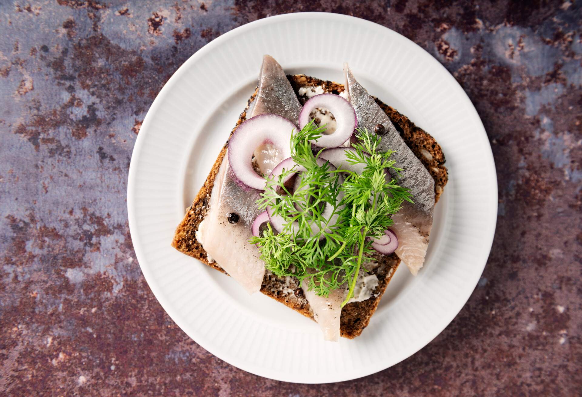 Traditional danish “smørrebrød” or open sandwich made with a slice of buttered rye bread, marinated herring, onion and dill. Colour, horizontal with some copy space.