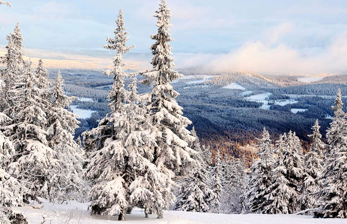 Trysil, en dyr skidort som dock är värd pengarna.