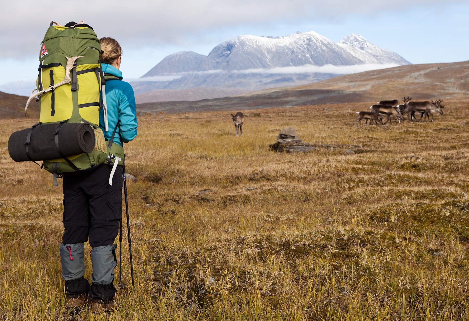 Vandringsleder i Sverige, Sarek Nationalpark