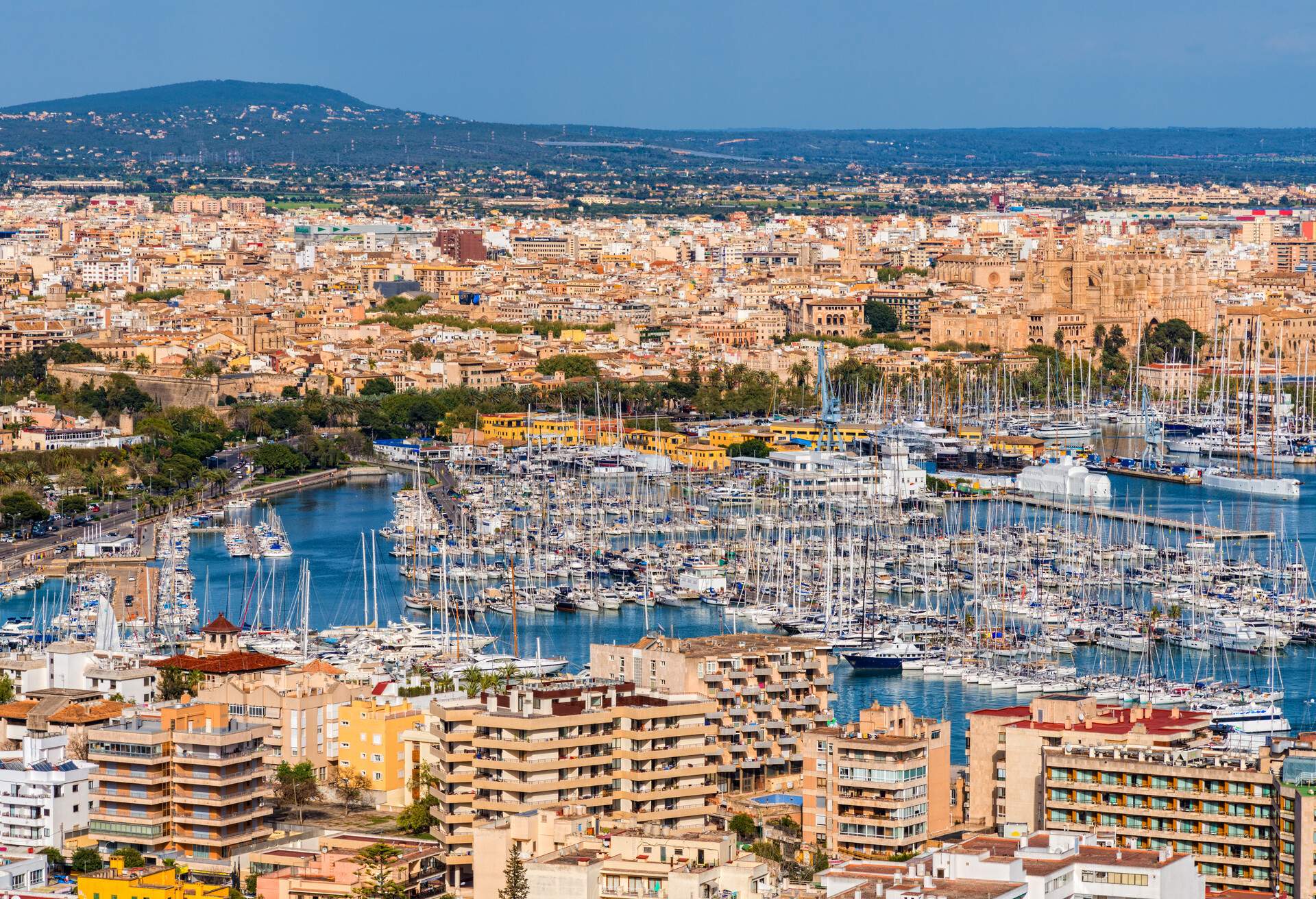 SPAIN_PALMA-DE-MALLORCA_YACHT-HARBOR