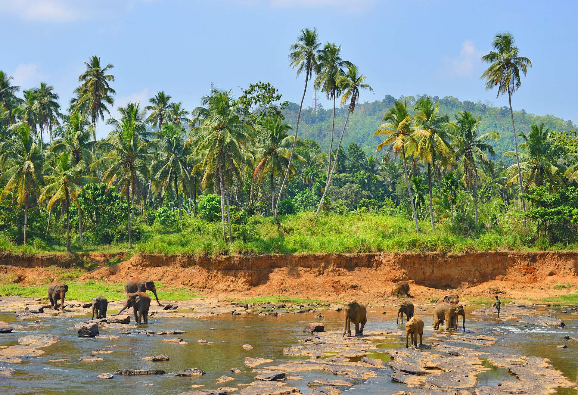 SRI-LANKA_YALA_YALA-NATIONAL-PARK