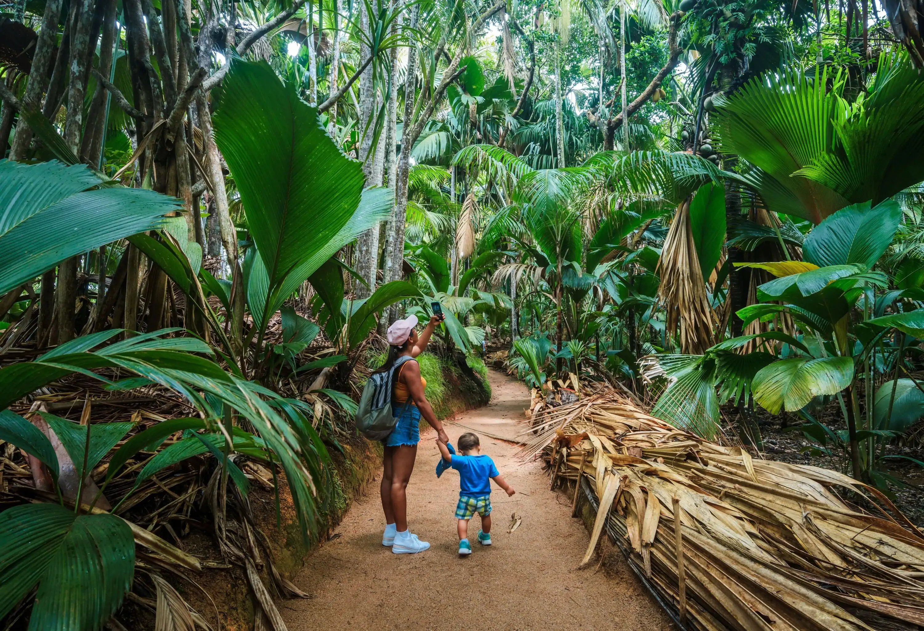 Mother with baby in the tropical rainforest, Praslin Island, Seychelles
