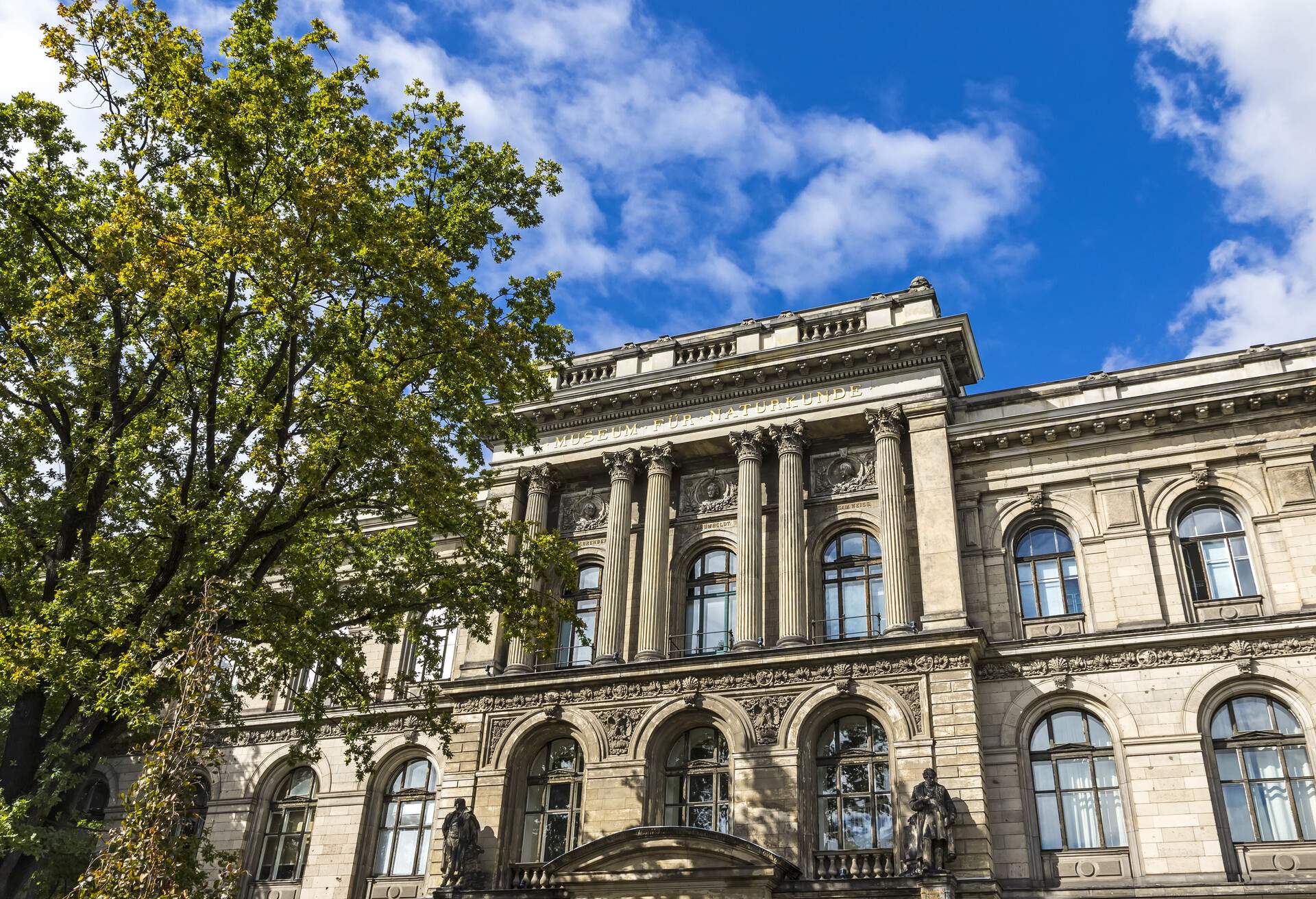 DEST_GERMANY_BERLIN_MUSEUM-OF-NATURAL-HISTORY_shutterstock-portfolio_734677177