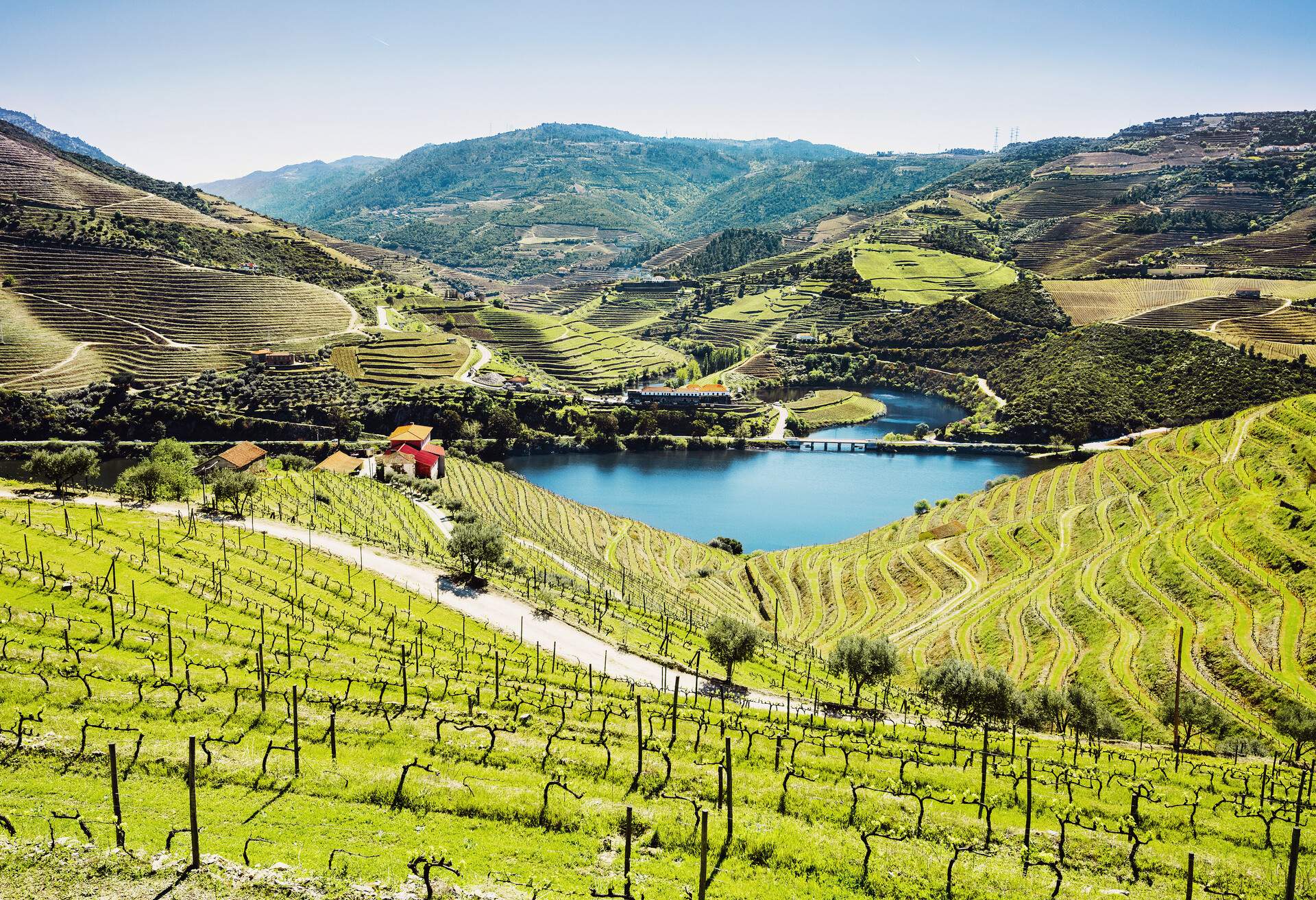 A calm river surrounded by terraced hills and valleys of vineyards.