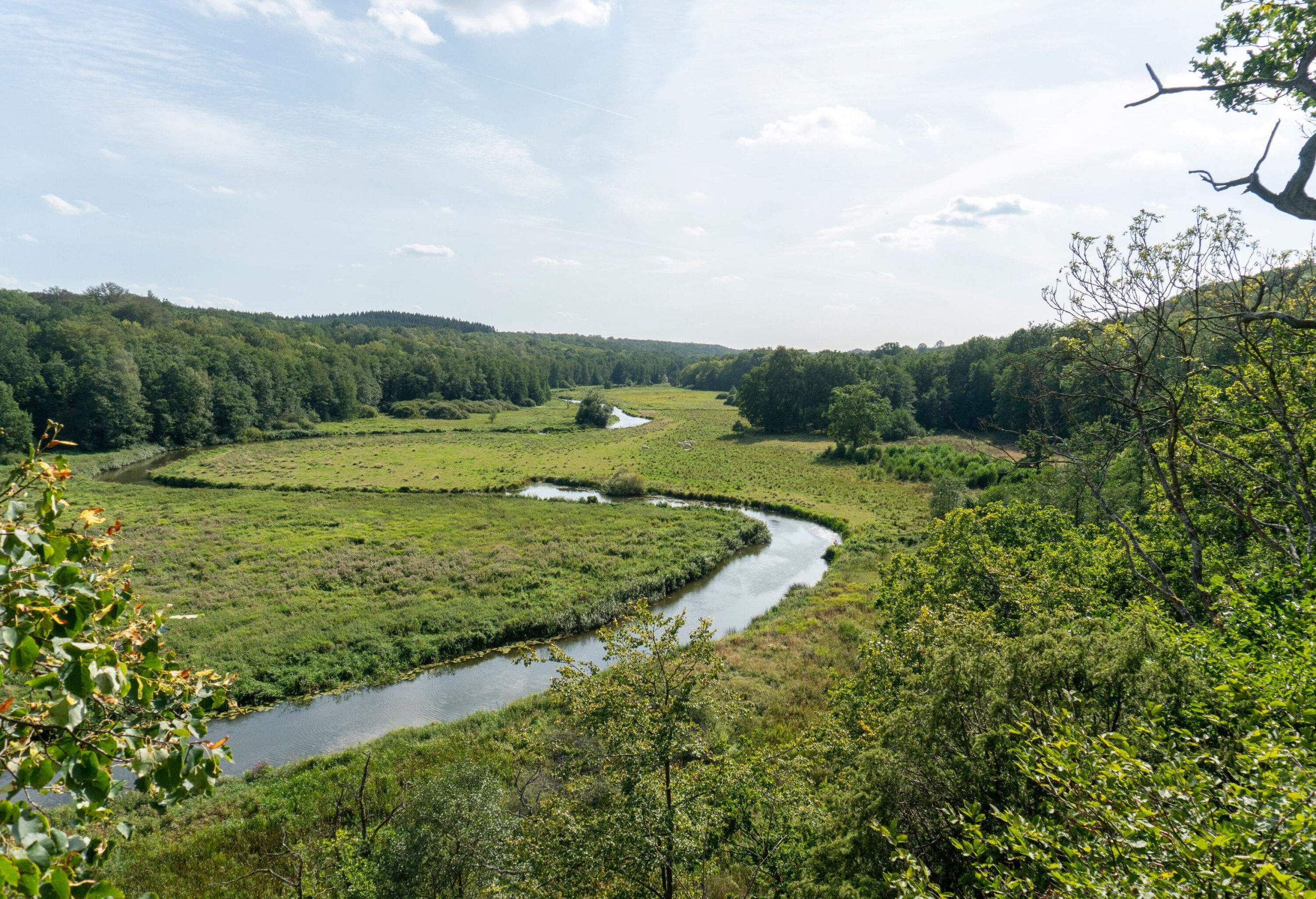 Winding river surrounded by green meadows and green trees.