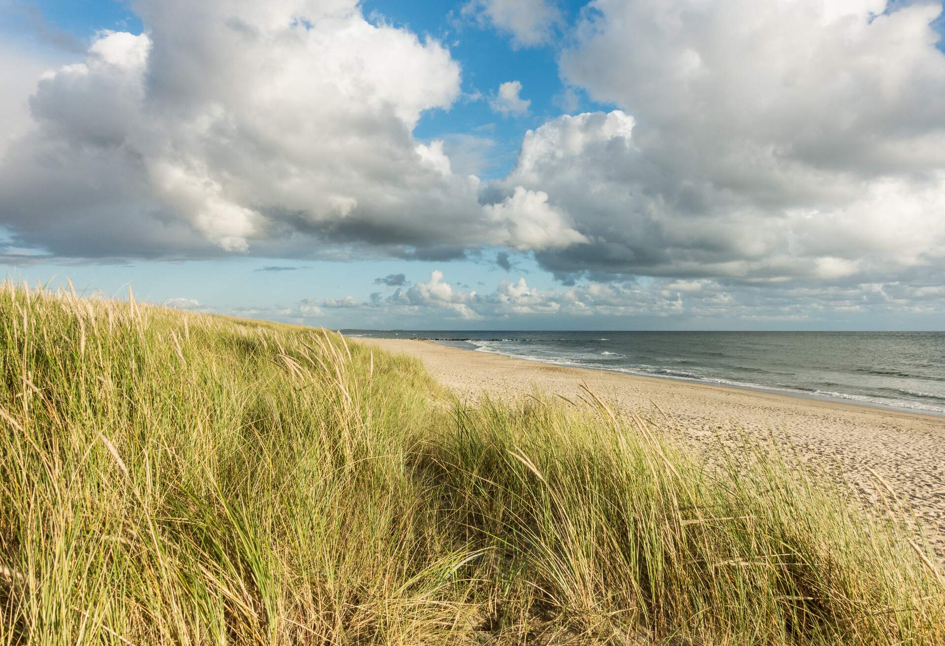 DEST_DENMARK_HVIDBJERG-STRAND-GettyImages-1278958950