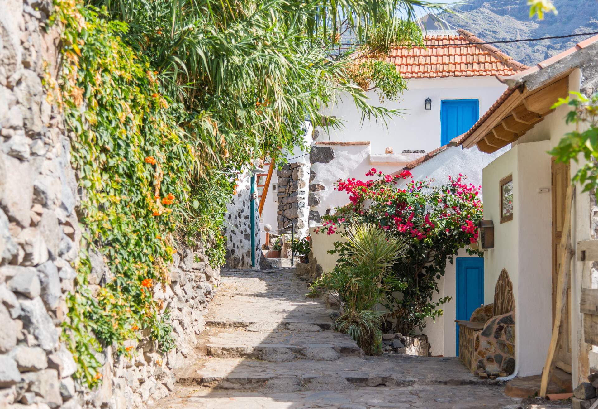 DEST_SPAIN_CANARY ISLANDS_LA GOMERA_VALLE GRAN REY_EL GURO-shutterstock-premier_1061036702