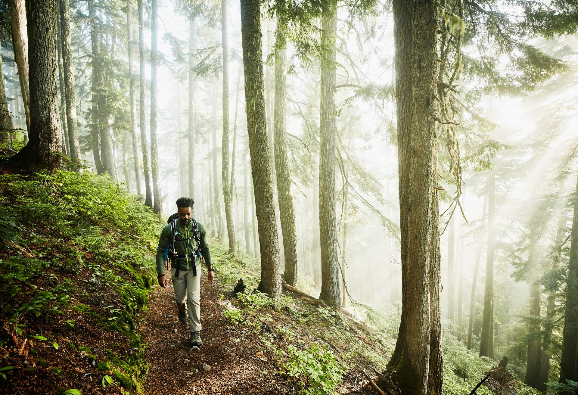 THEME_HIKE_MAN_PERSON_FOREST_WOODS_TRAIL_GettyImages-1056062042