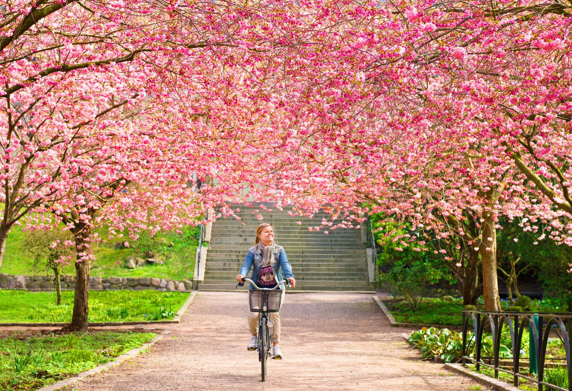 dest_sweden_gothenburg_theme_bike_cycling_spring_gettyimages-596579211_universal_within-usage-period_83700