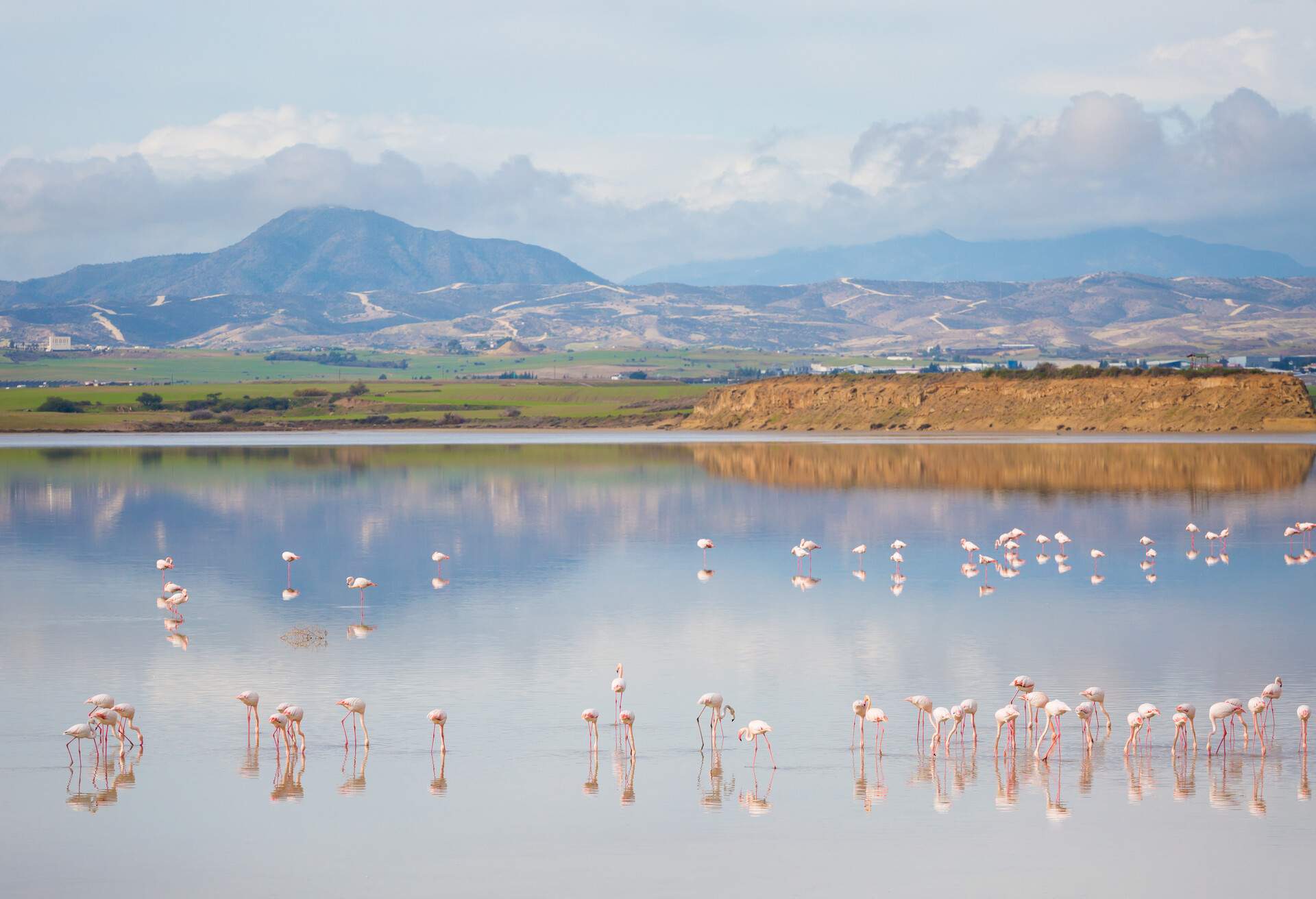 DEST_CYPRUS_LARNACA_LARNACA SALT LAKE_GettyImages-1094644292