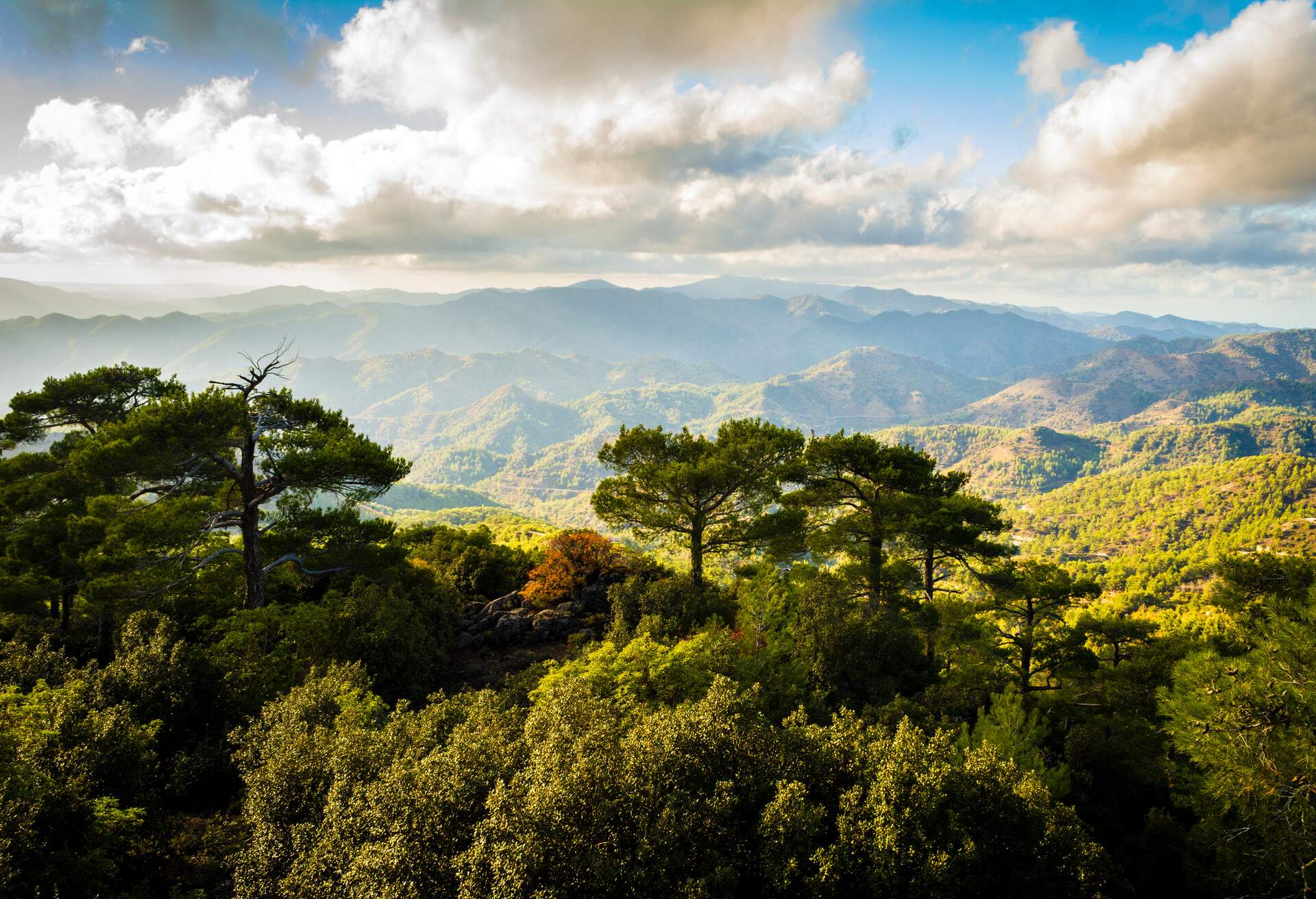 DEST_CYPRUS_TROODOS_MOUNTAINS_GettyImages-1248144595