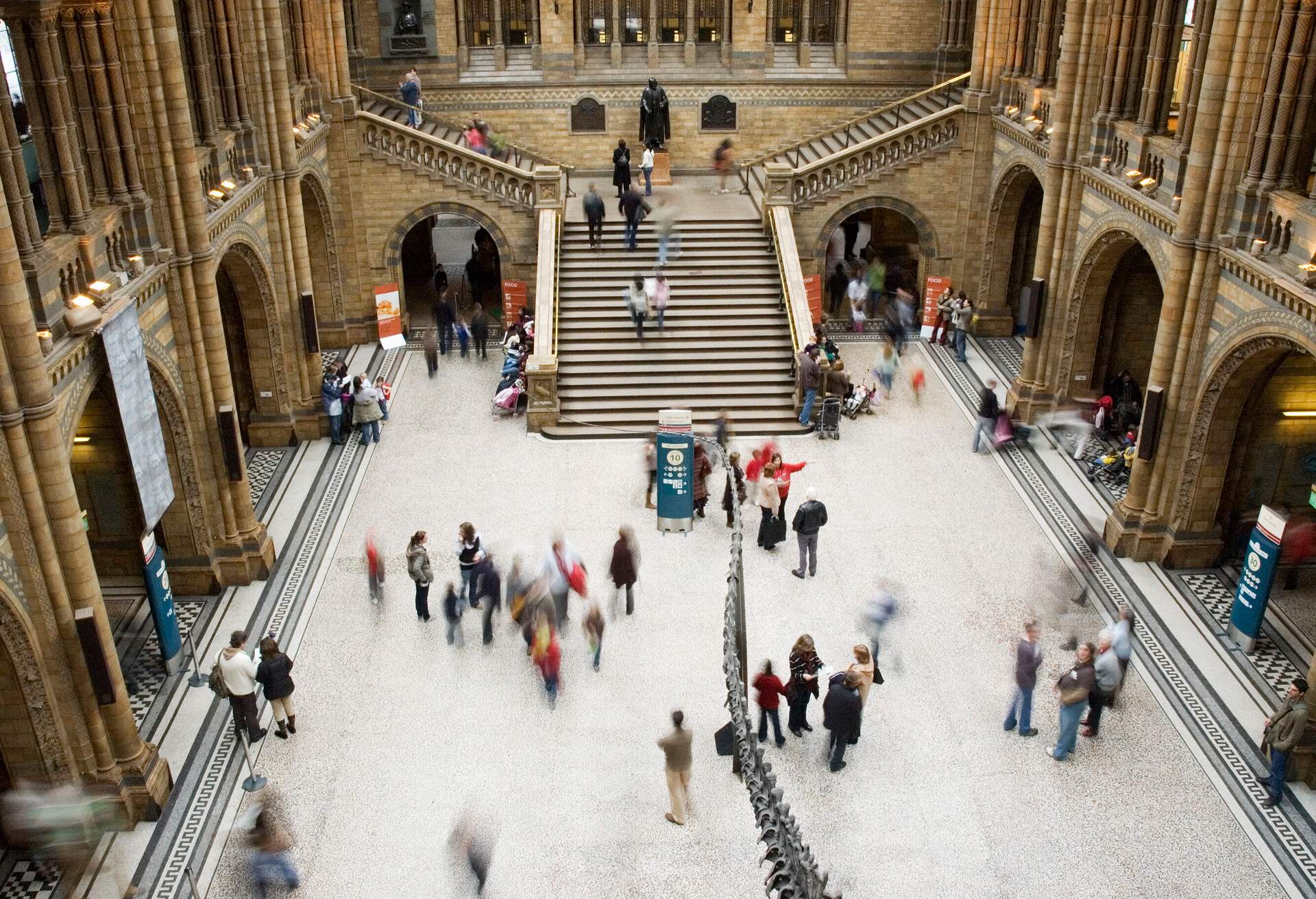 DEST_ENGLAND_LONDON_NATURAL_HISTORY_MUSEUM_GettyImages-183270987.jpg