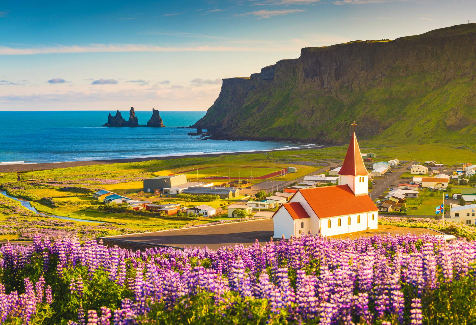 Vik i Myrdal, Southern Iceland. Fields of lupins in bloom and the town church.