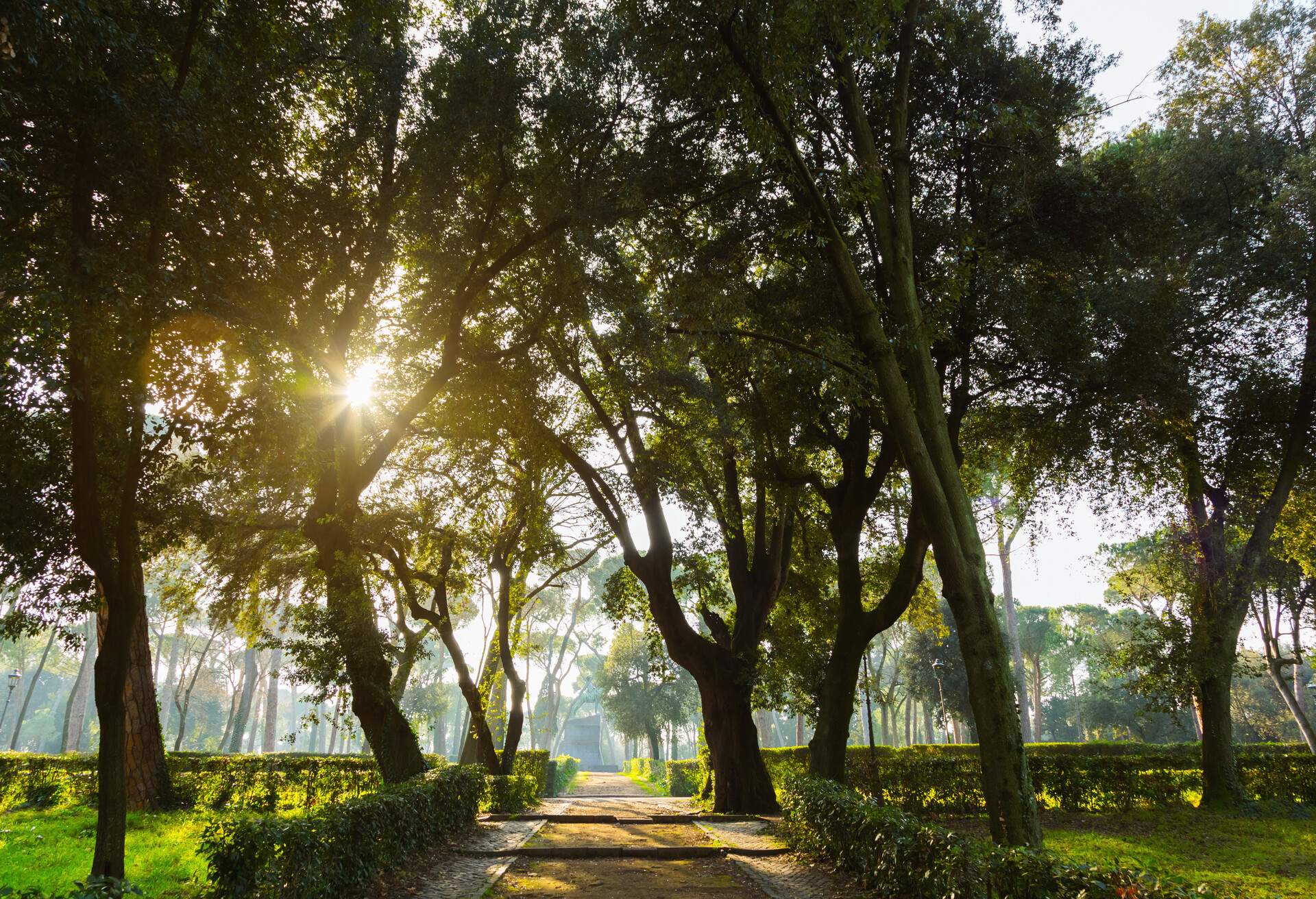 Borghese park is the third largest public park in Rome.