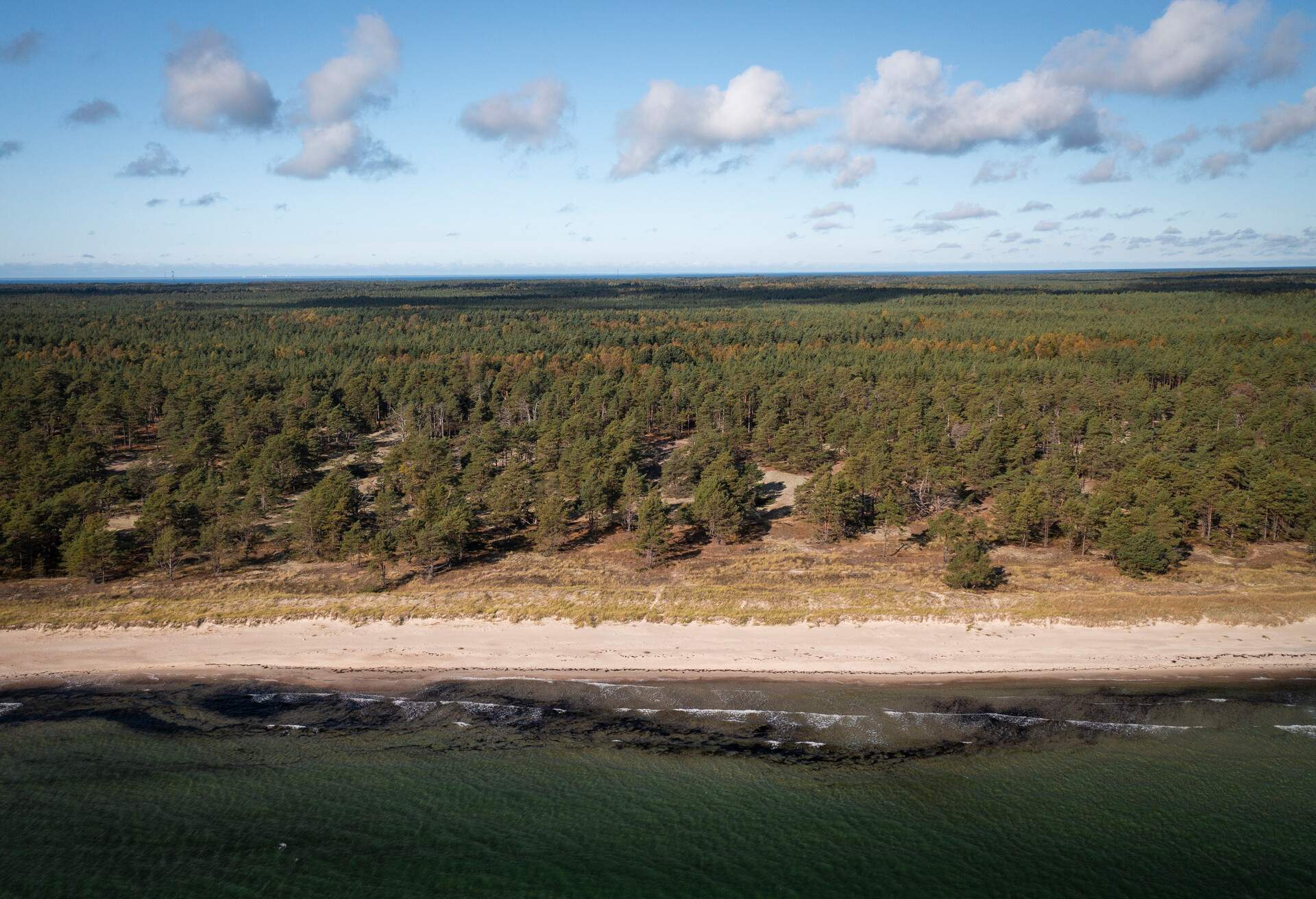 Coastal panorama at Lyckesand beach with ocean on the island of Oland in the east of Sweden from above