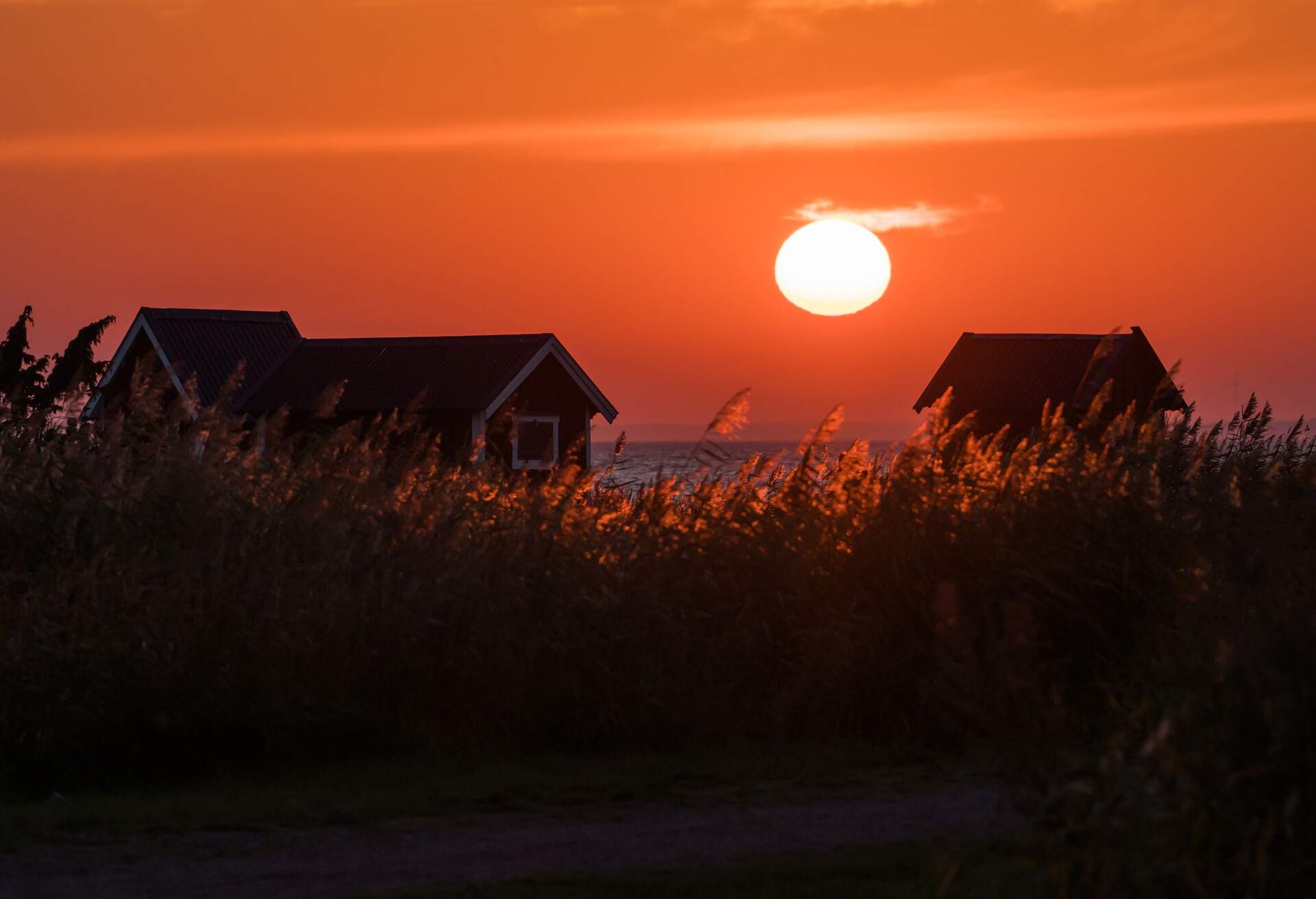 Colorful sunset by the coast of the Baltic Sea at the swedish island Oland