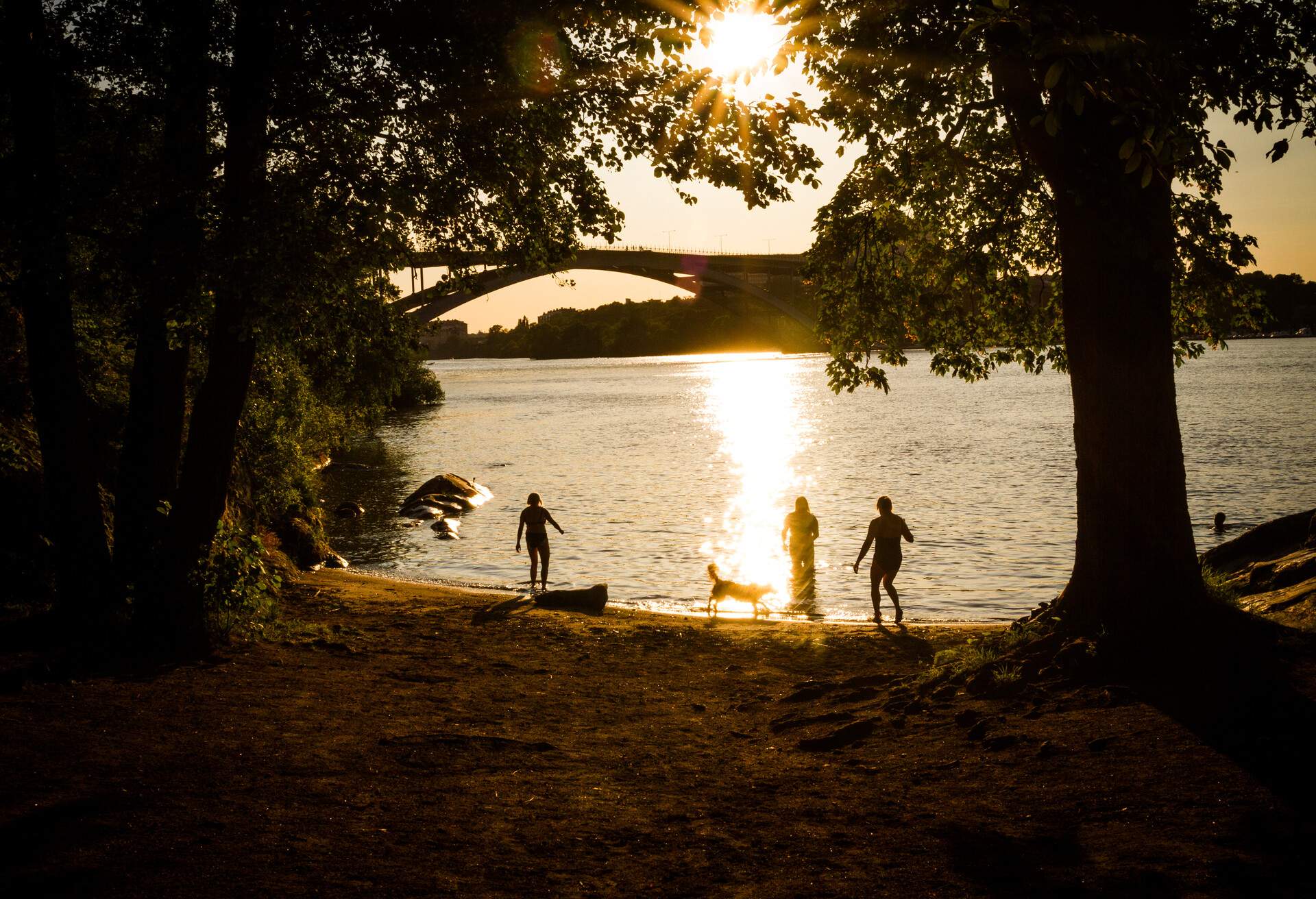 Swimmers in one of the beaches in the Långholmen island in the center of Stockholm (Sweden) on a sunny afternoon of summer.