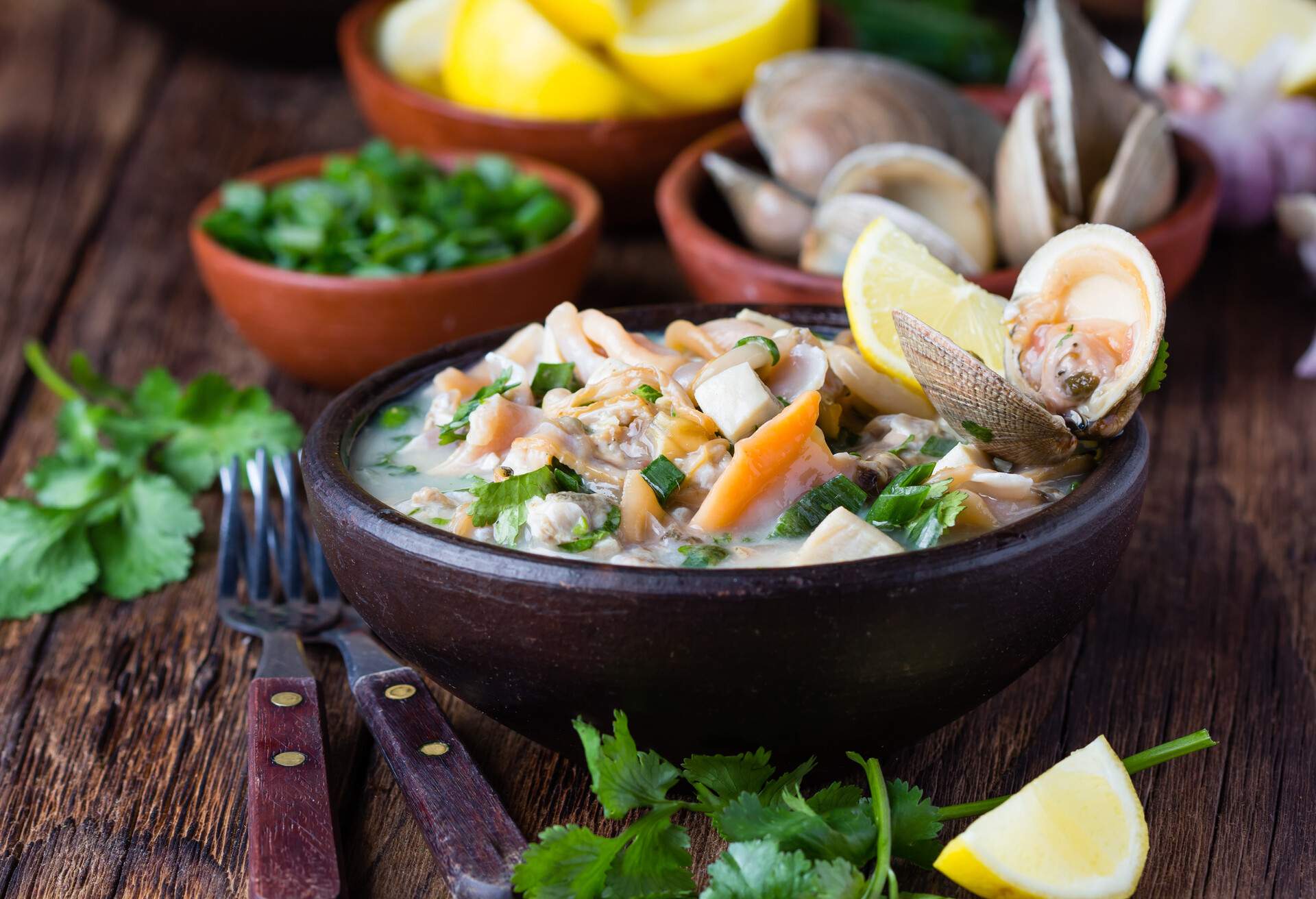Latin American food. Seafood shellfish ceviche raw cold soup salad of seafood shellfish almejas, lemon, cilantro onion in clay bowl on wooden background. Traditional dish of Peru or Chile; Shutterstock ID 483366694; Purpose: any; Brand (KAYAK, Momondo, Any): any