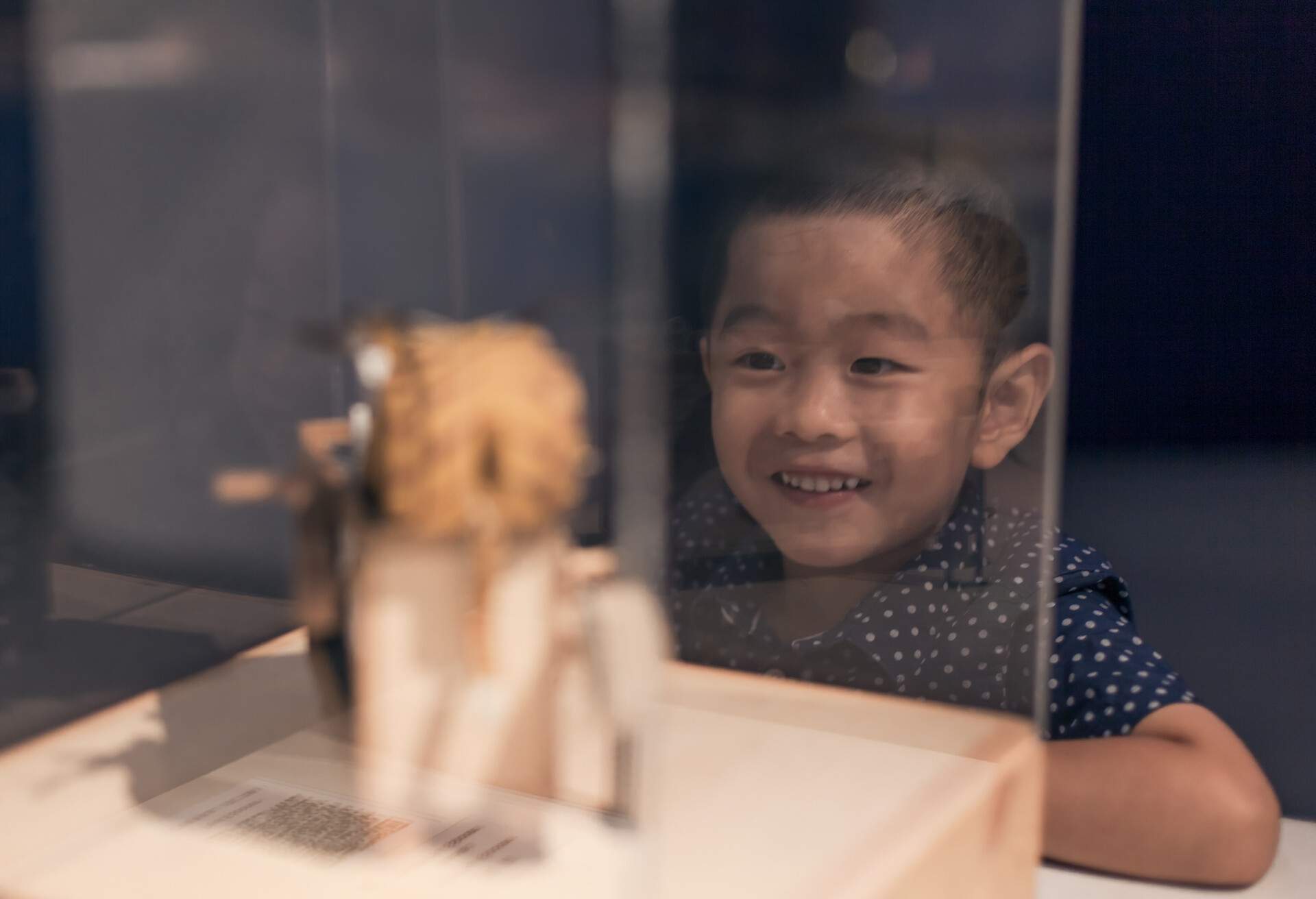 Young boy watching crafts indoors