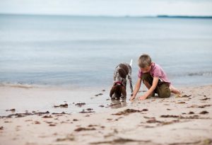boy with dog- beach