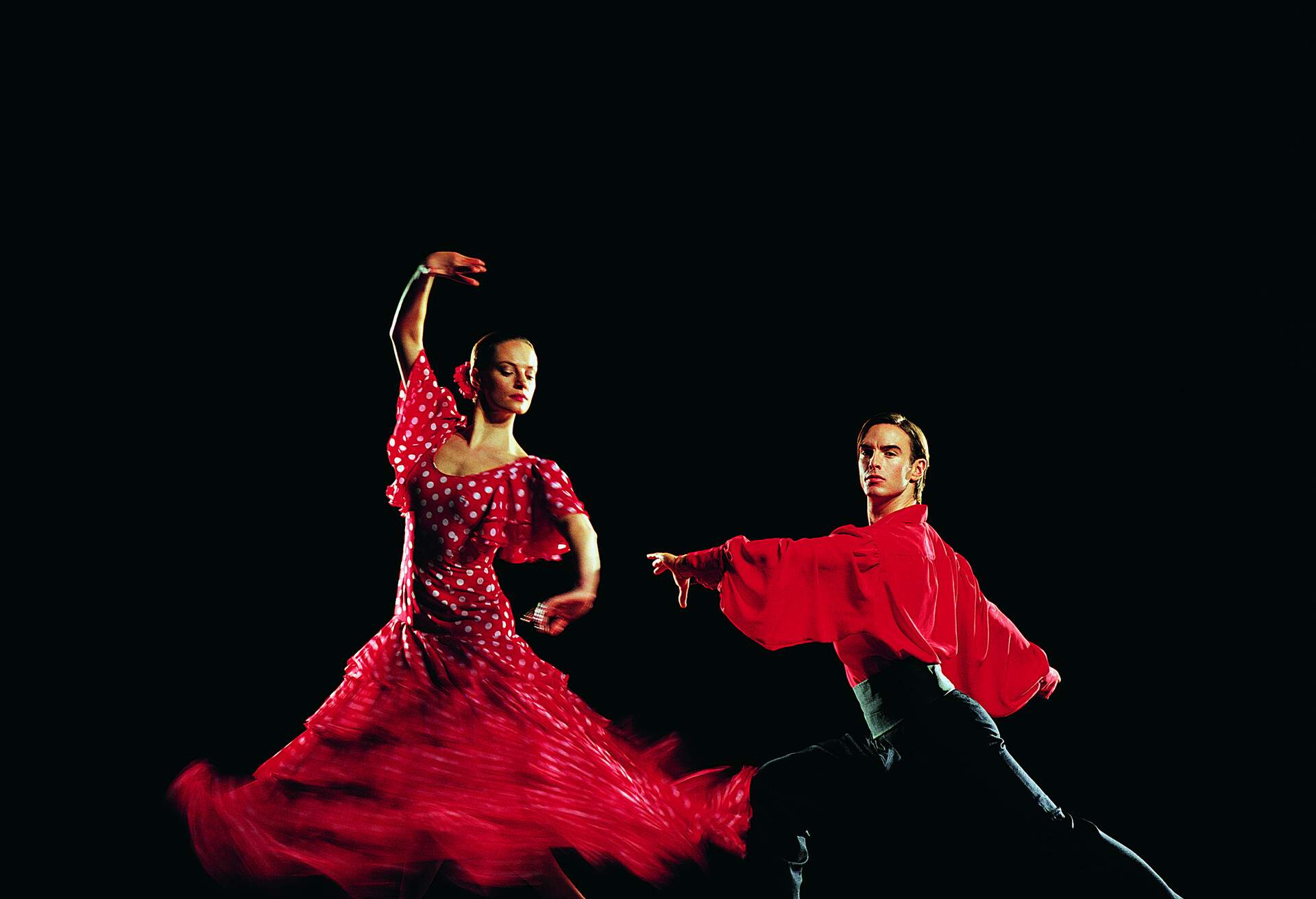 Flamboyant flamingo dancers captivate with their vibrant red and black attire, gracefully moving against a striking black background.