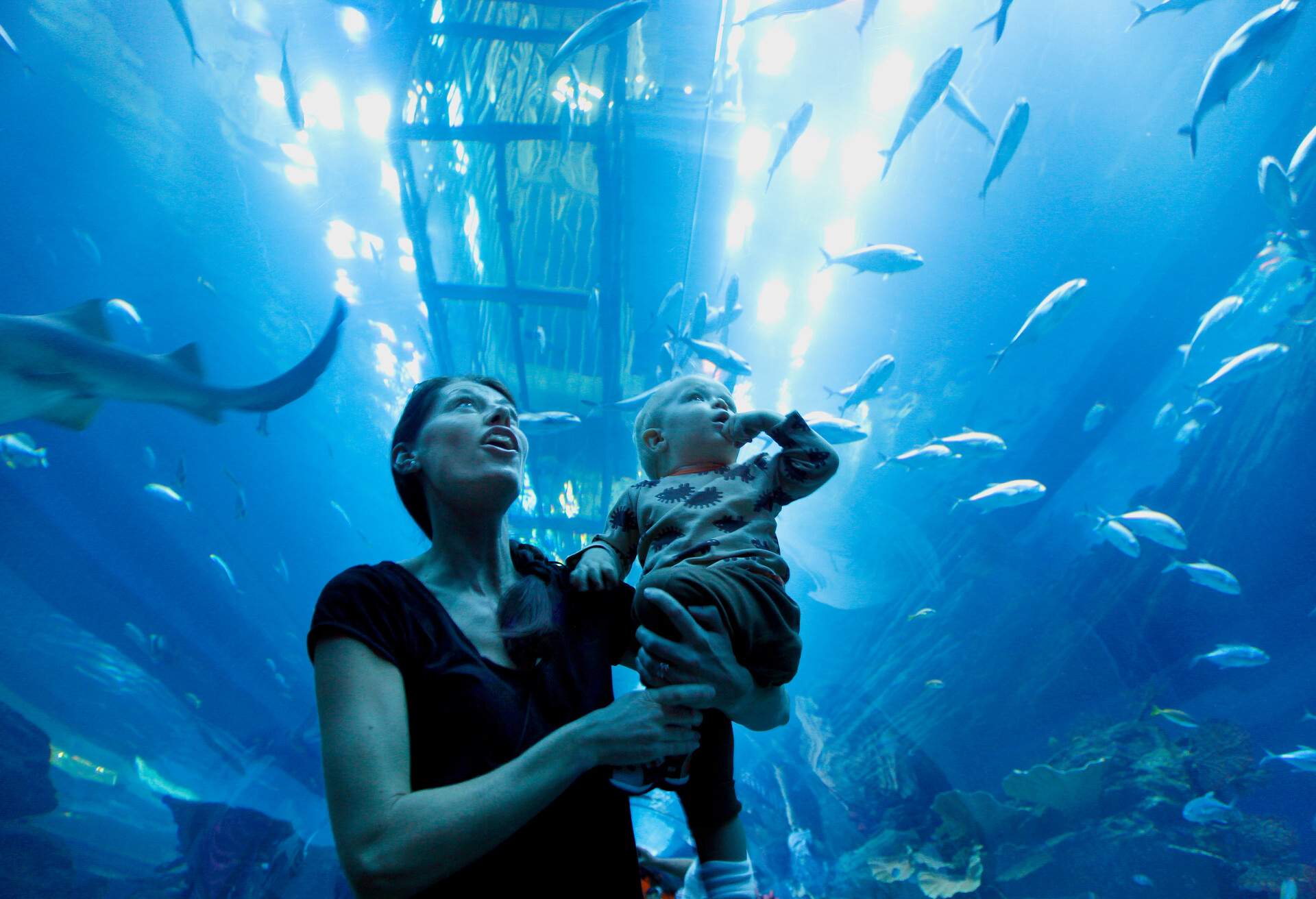 THEME_PEOPLE_MOTHER_TODDLER_KID_AQUARIUM_GettyImages-763168369