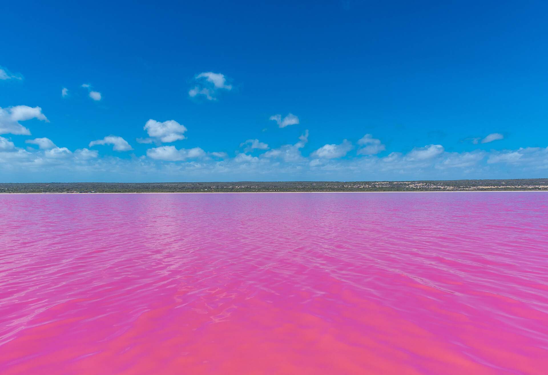 AUSTRALIA_HUTT_LAGOON_PINK_LAKE