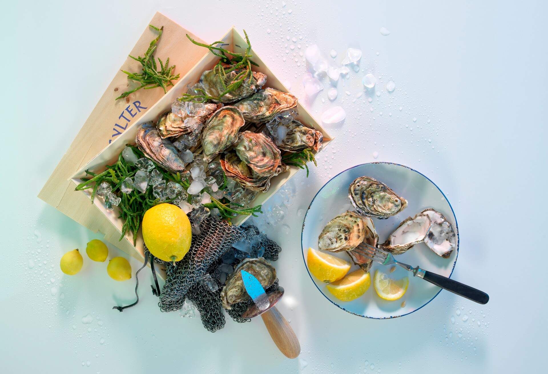 fine-dining-london-oysters