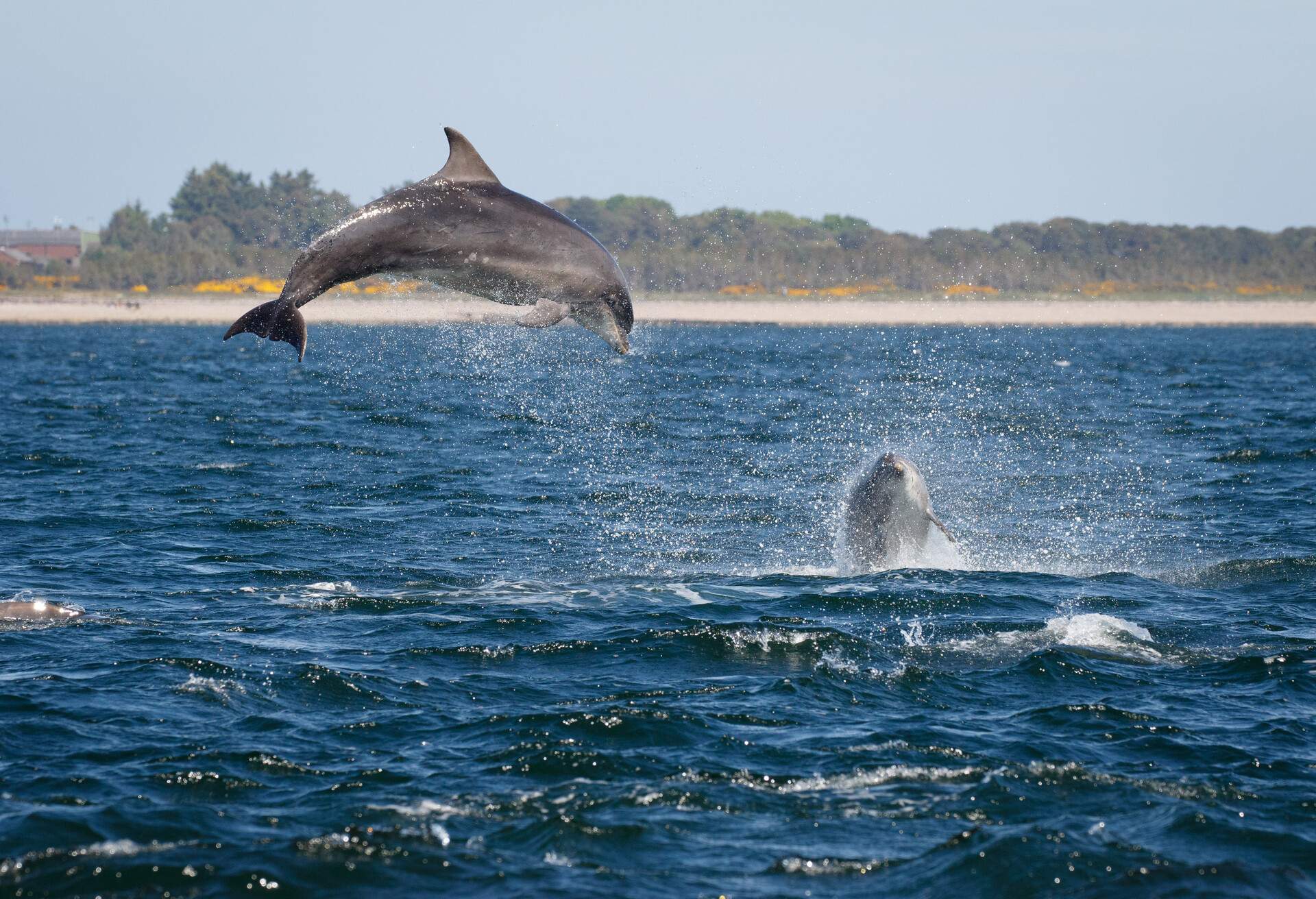 DEST_UK_SCOTLAND_MORAY-FIRTH_GettyImages-1043165018