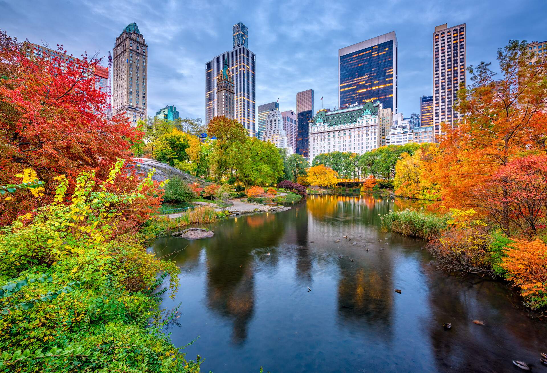 DEST_USA_NYC_NEW-YORK-CITY_Central-Park_shutterstockpremier