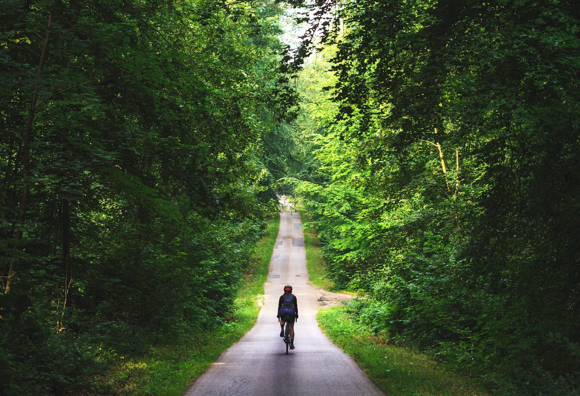 A female cyclist rides through the lush, tall trees of the Eawy Forest, in North-western Normandy, France.