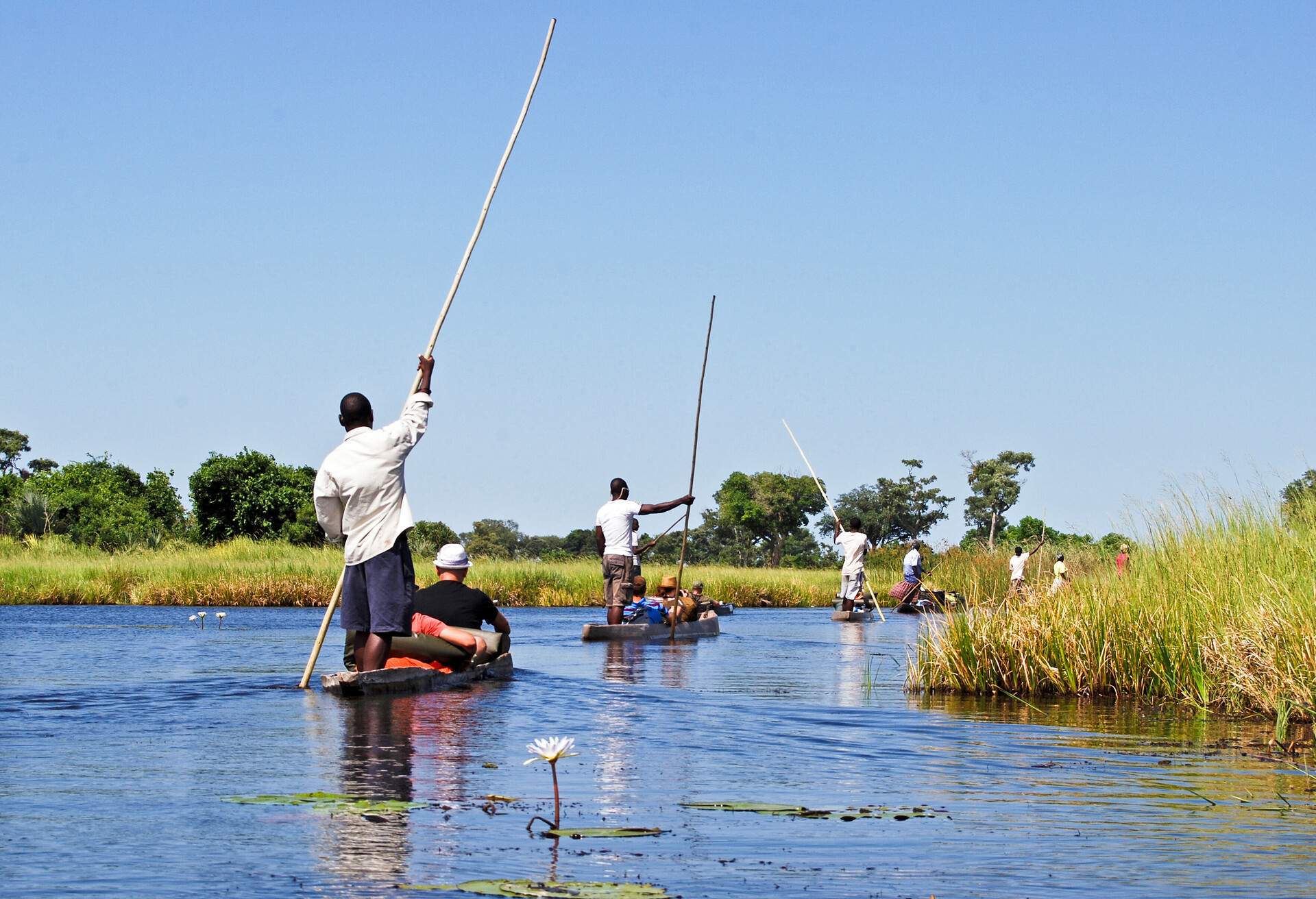 Canoe trip with traditional mokoro boat on the river through Okavango Delta near Maun, Botswana Africa