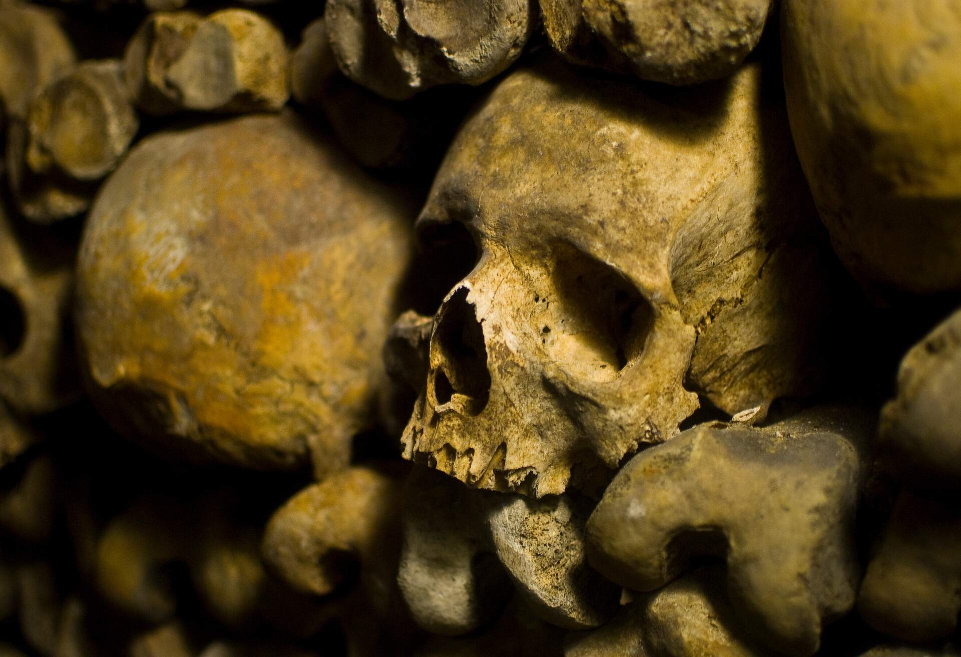 Le Catacombs - Paris