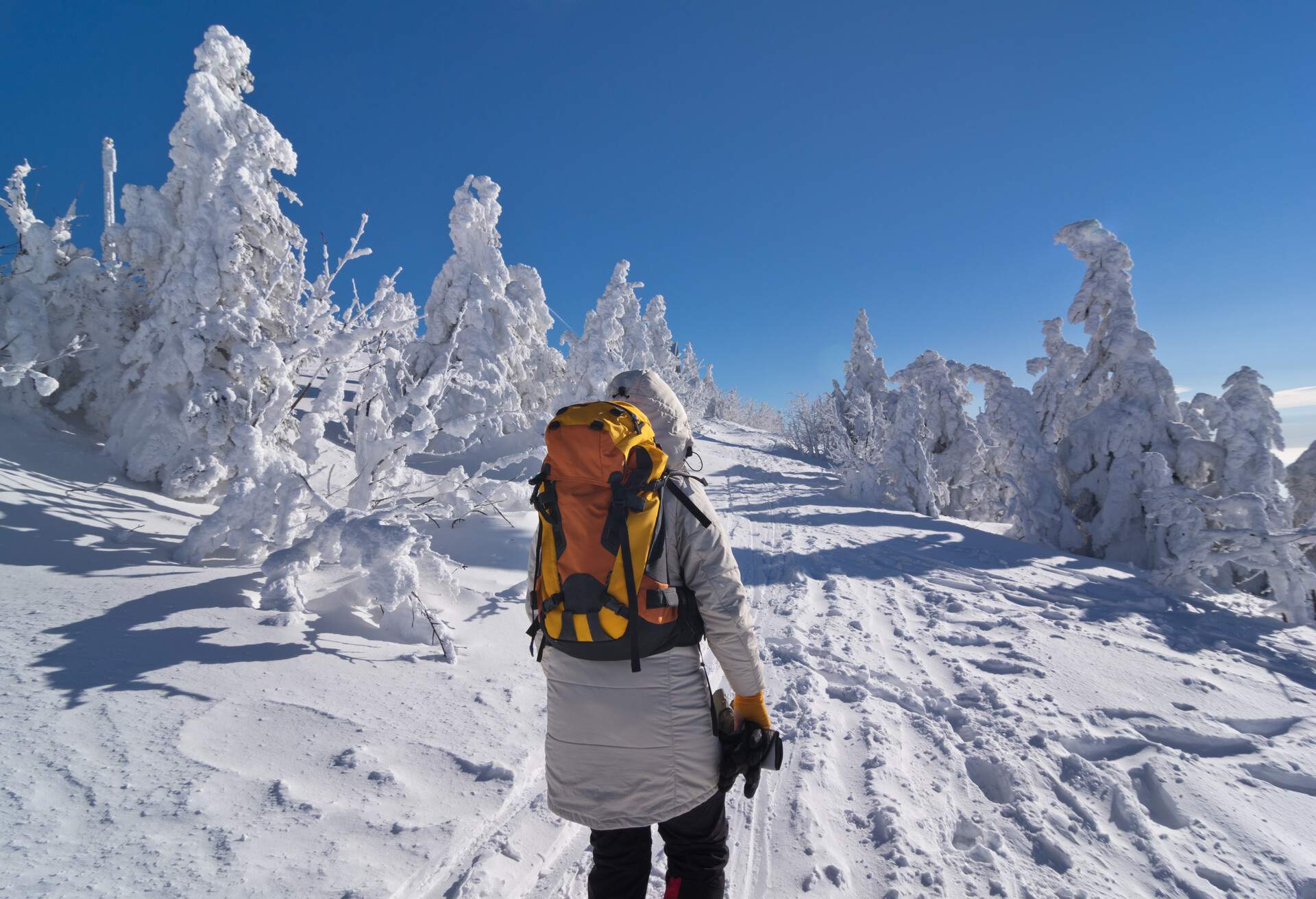 Female hiker making her way up to the summit of Great Arber in wonderful winter landscape, Bavaria, Germany.