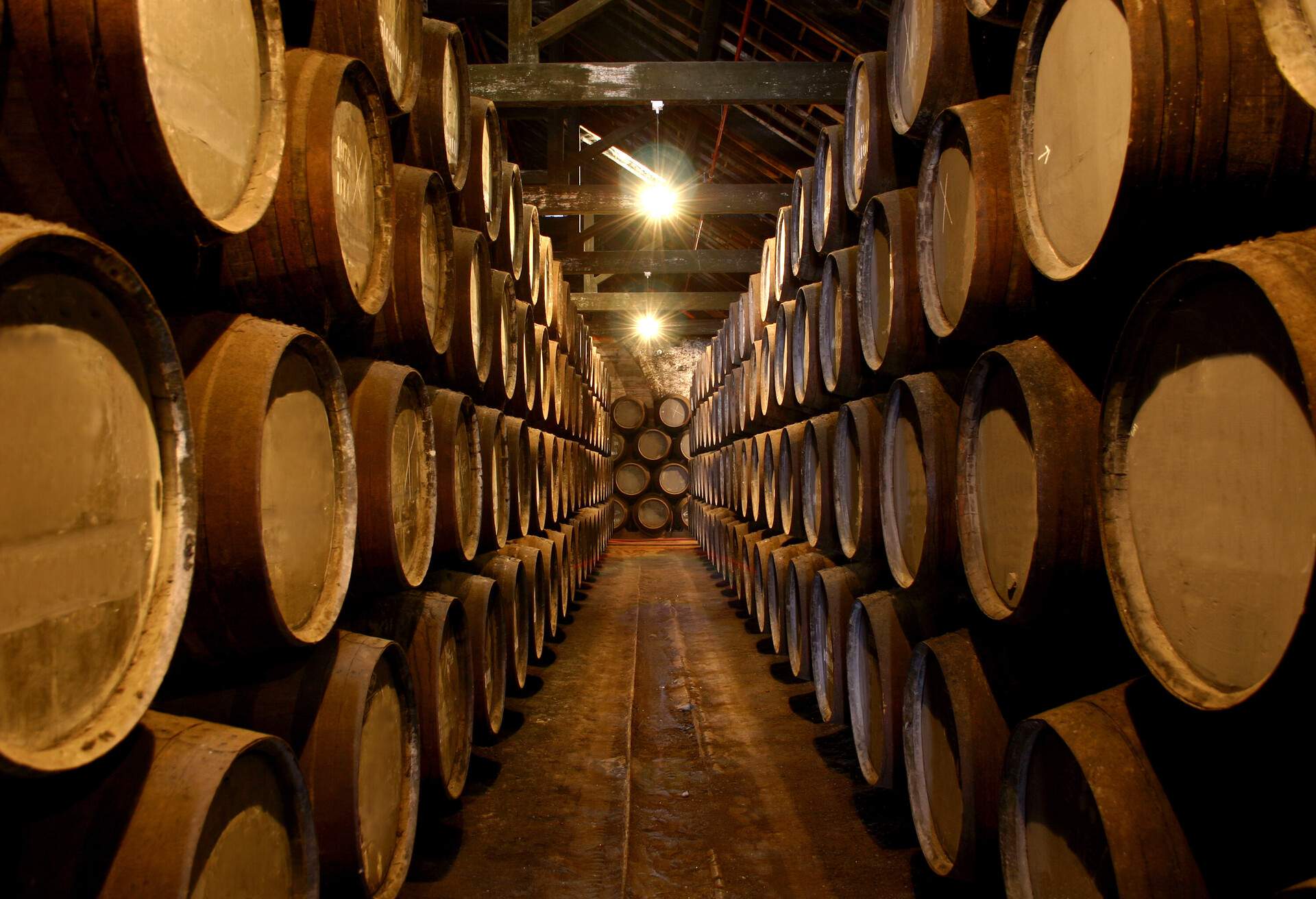 Interior of a Port Wine Cellar