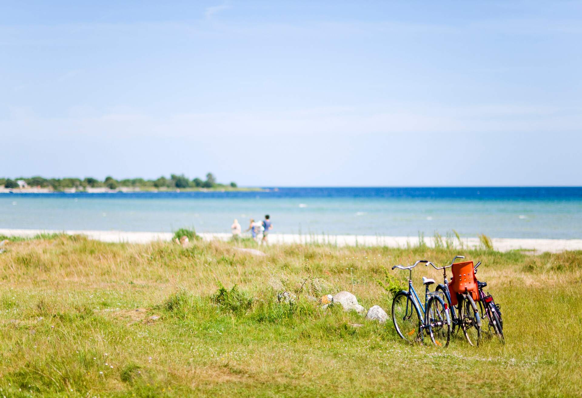DEST_SWEDEN_OLAND_BICYCLES_BEACH_GettyImages