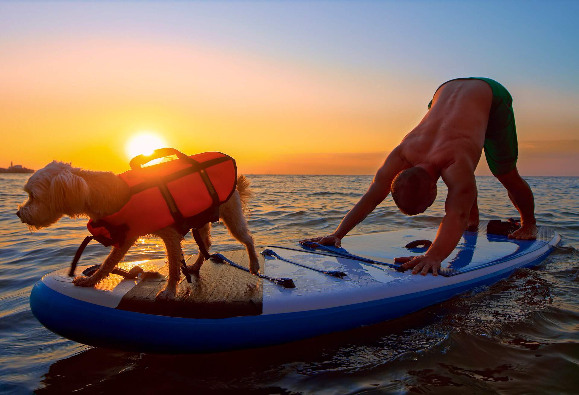 THEME_PADDLEBOARDING_YOGA_SUP_PETS_DOG_GettyImages-1375918295
