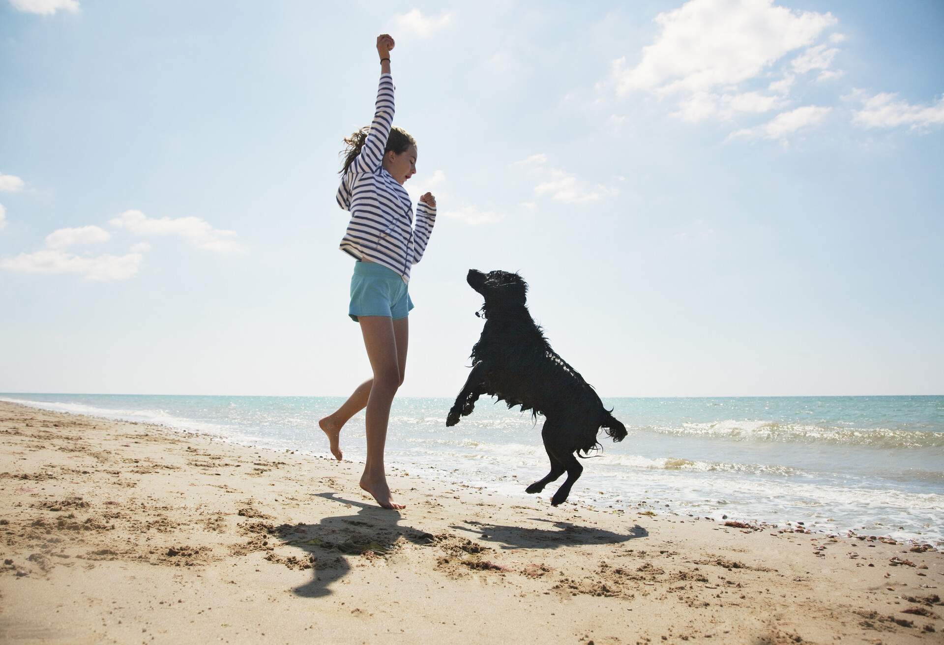 theme_bech_pets_dog_people_gettyimages-130406053_universal_within-usage-period_87757