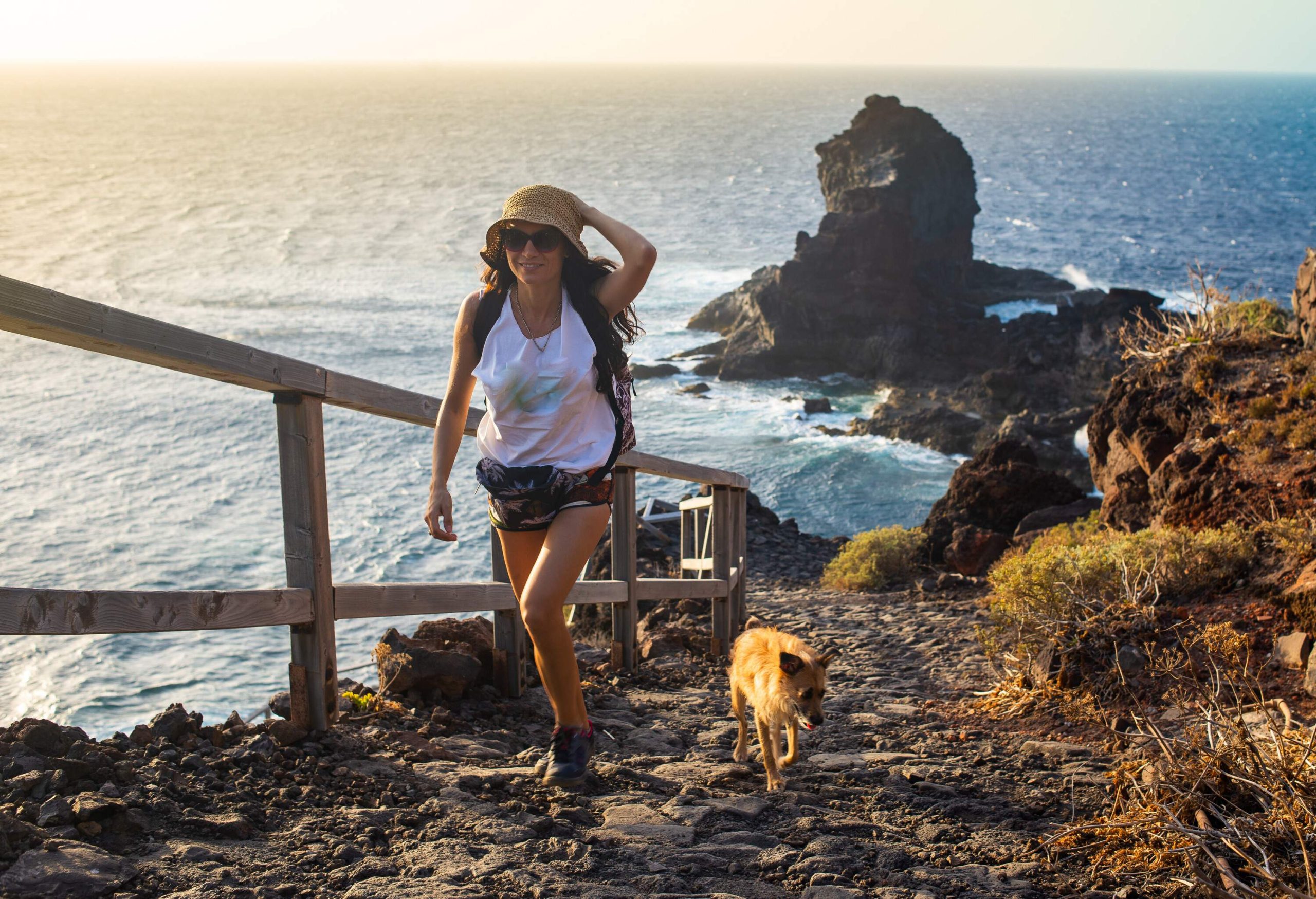 A person with a brown dog walks uphill on a canary volcanic island by the sea.