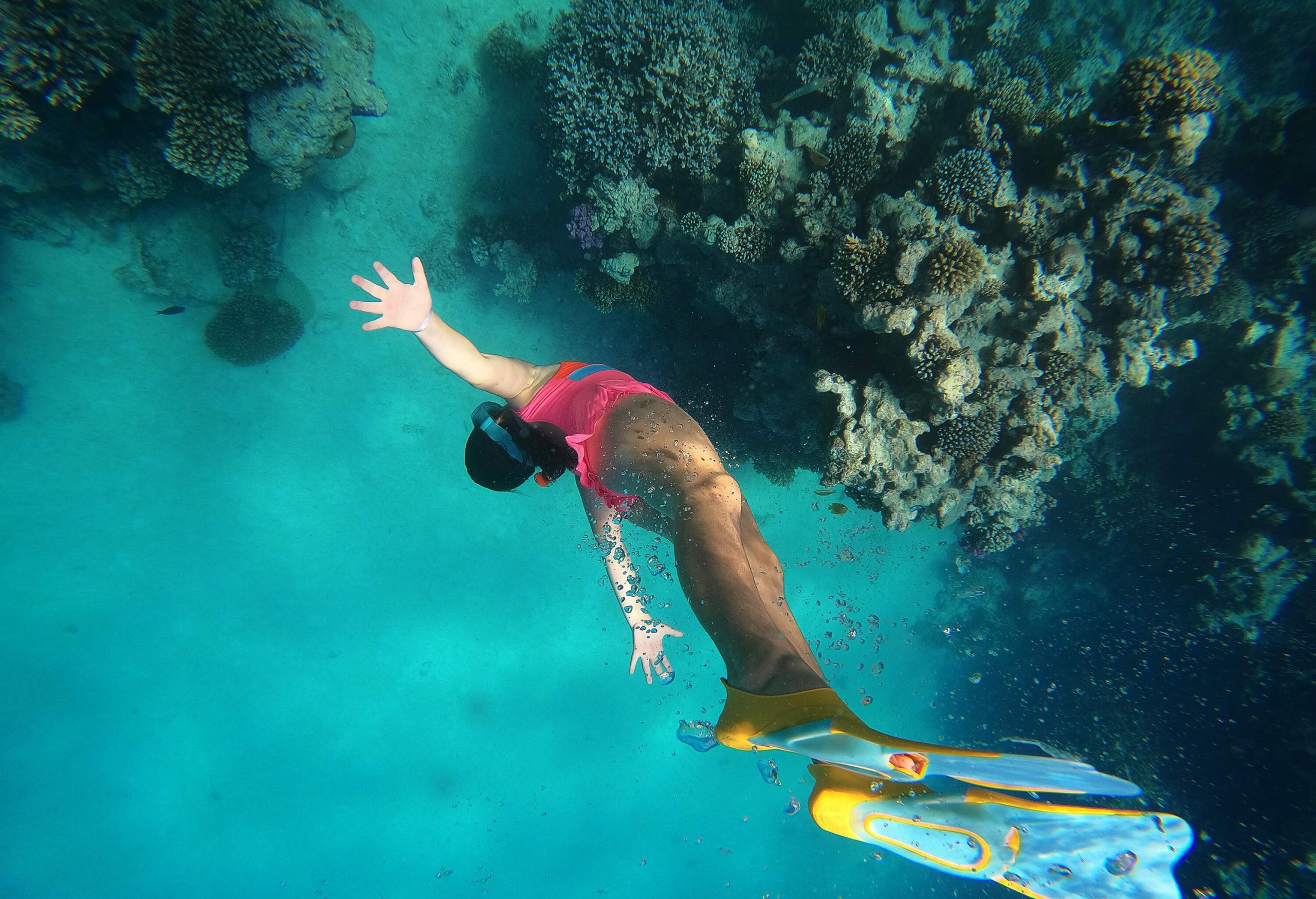 Woman dives underwater into a coral-covered sea bed while wearing a snorkelling mask and flippers.
