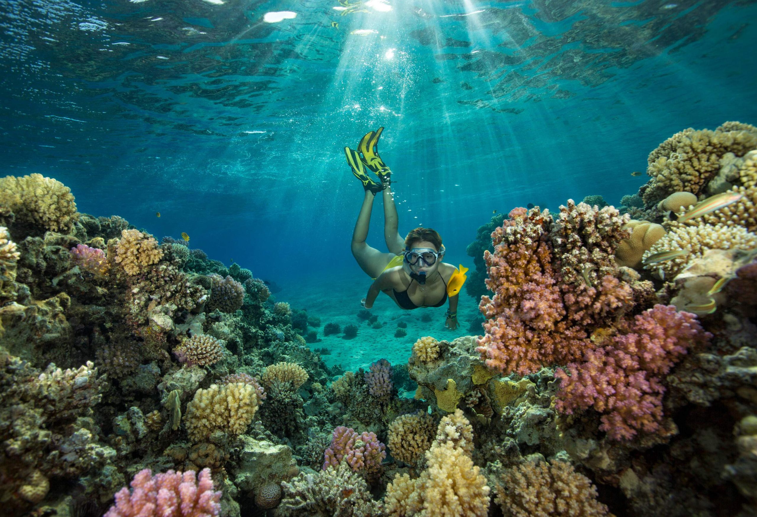 A woman in a bathing suit snorkels underwater amongst the colourful coral reefs as the sunlight glistens from the water's surface.