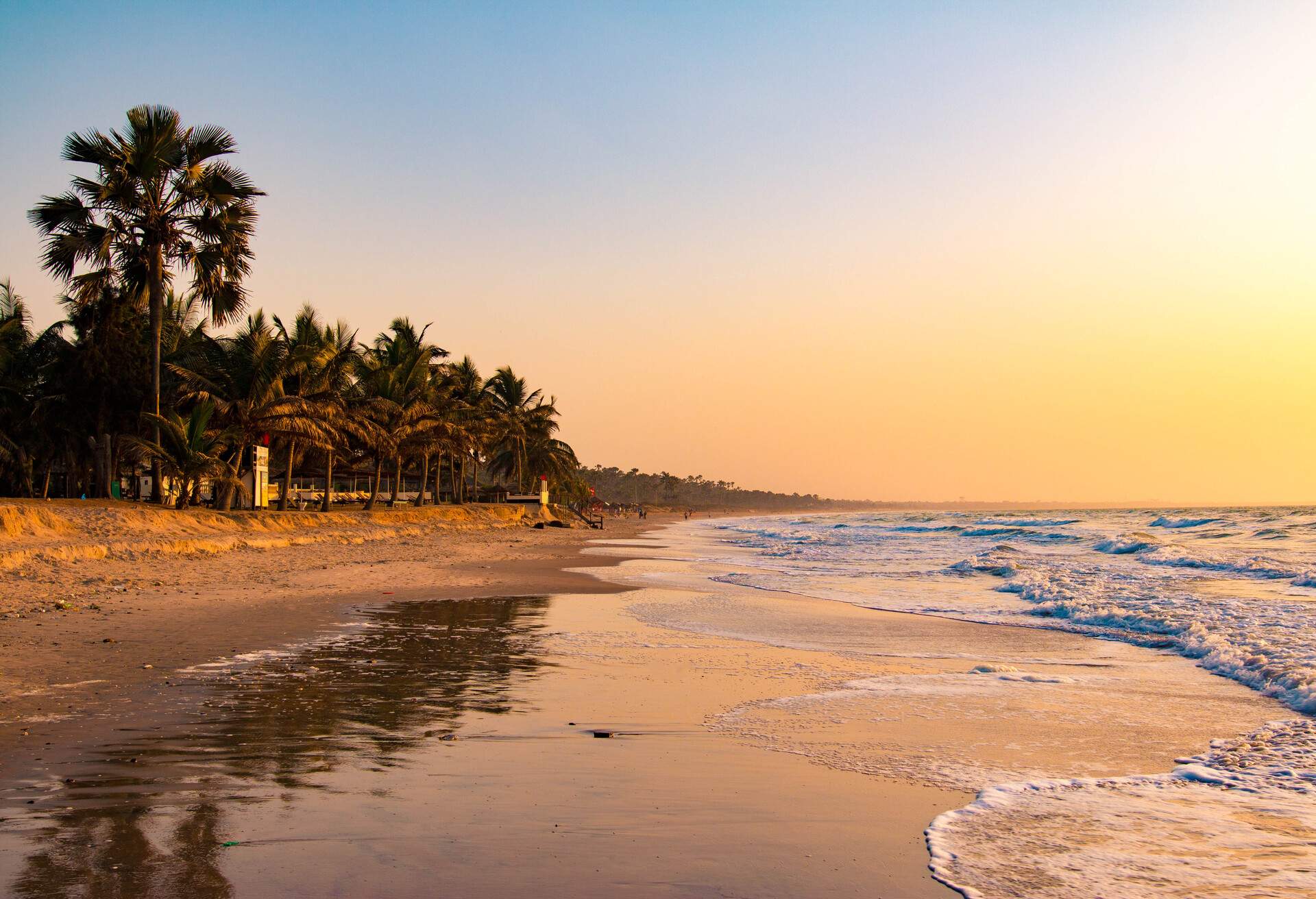 A wavy beach with a sandy shore lined with tall palm trees captured at sunset.